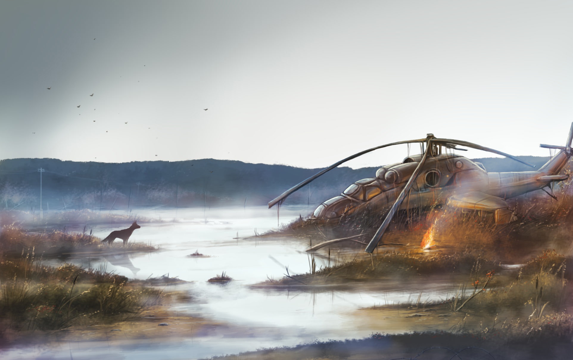 helicopter, pustosh, dog, 1080P, swamp, HD Wallpaper