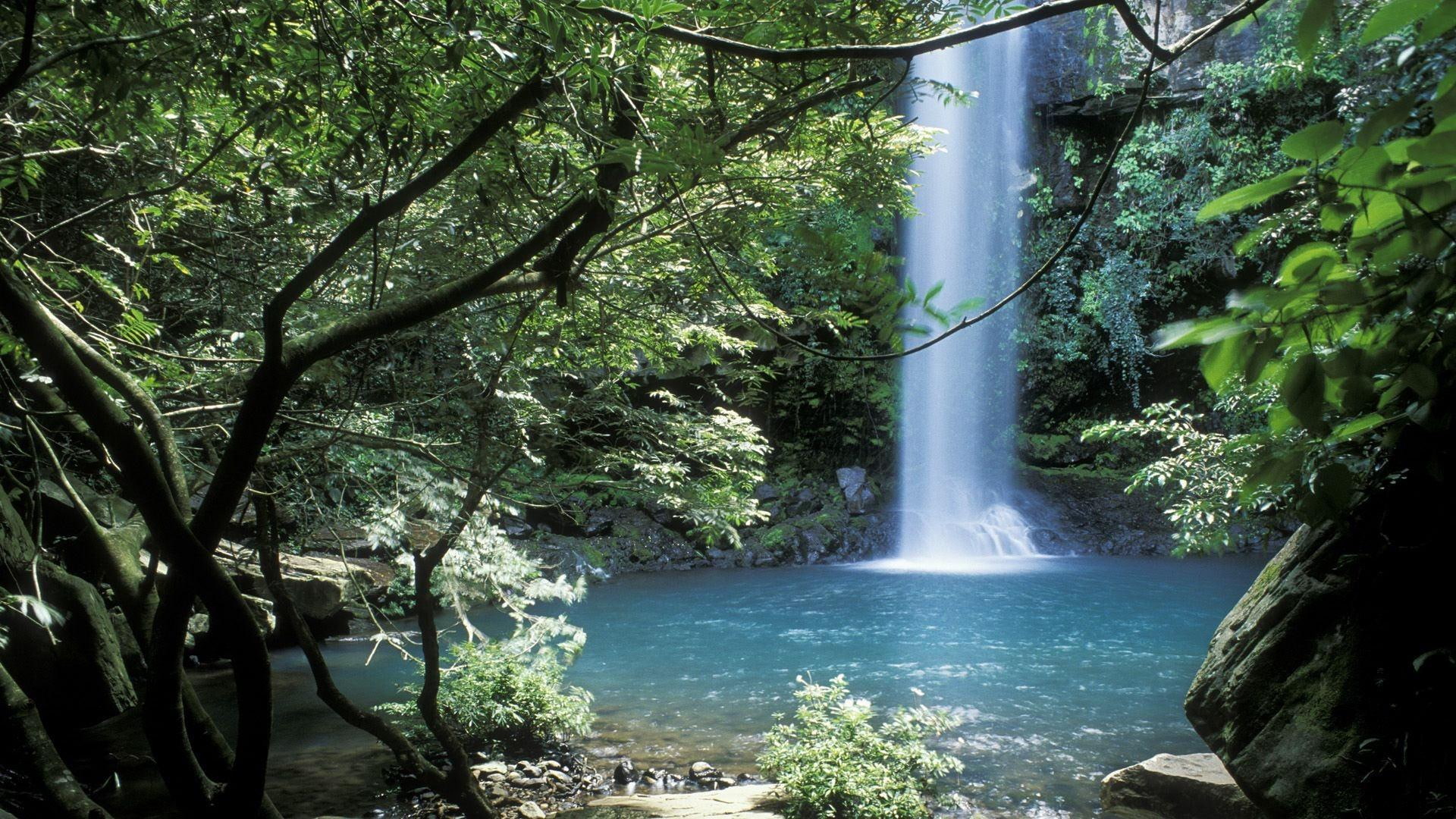 water, waterfall, nature, magic, 1080P, jungle, beautiful, 3d and abstract, peaceful, forest, HD Wallpaper