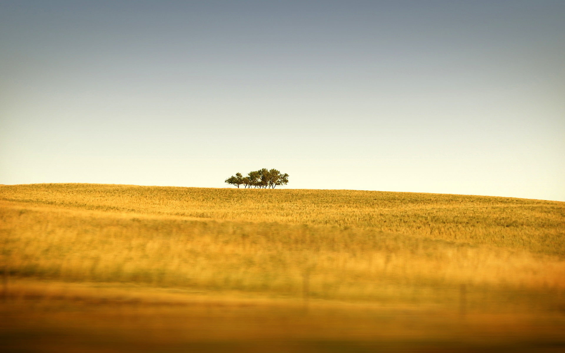 tiltshift, 1080P, HD Wallpaper