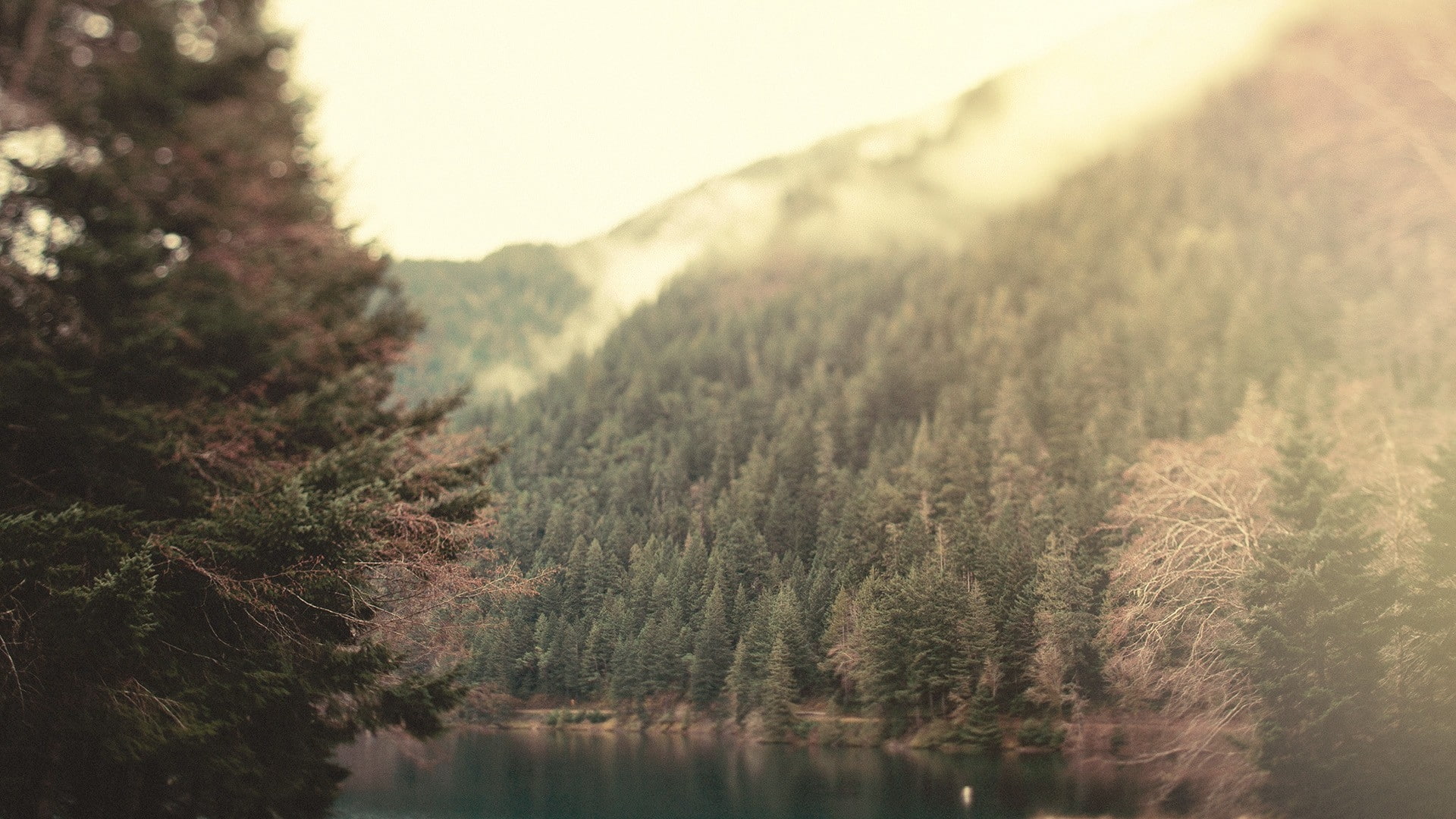 Landscapes, tilt-shift, hd, lakes, 1080P, nature, art, tiltshift, x, HD Wallpaper