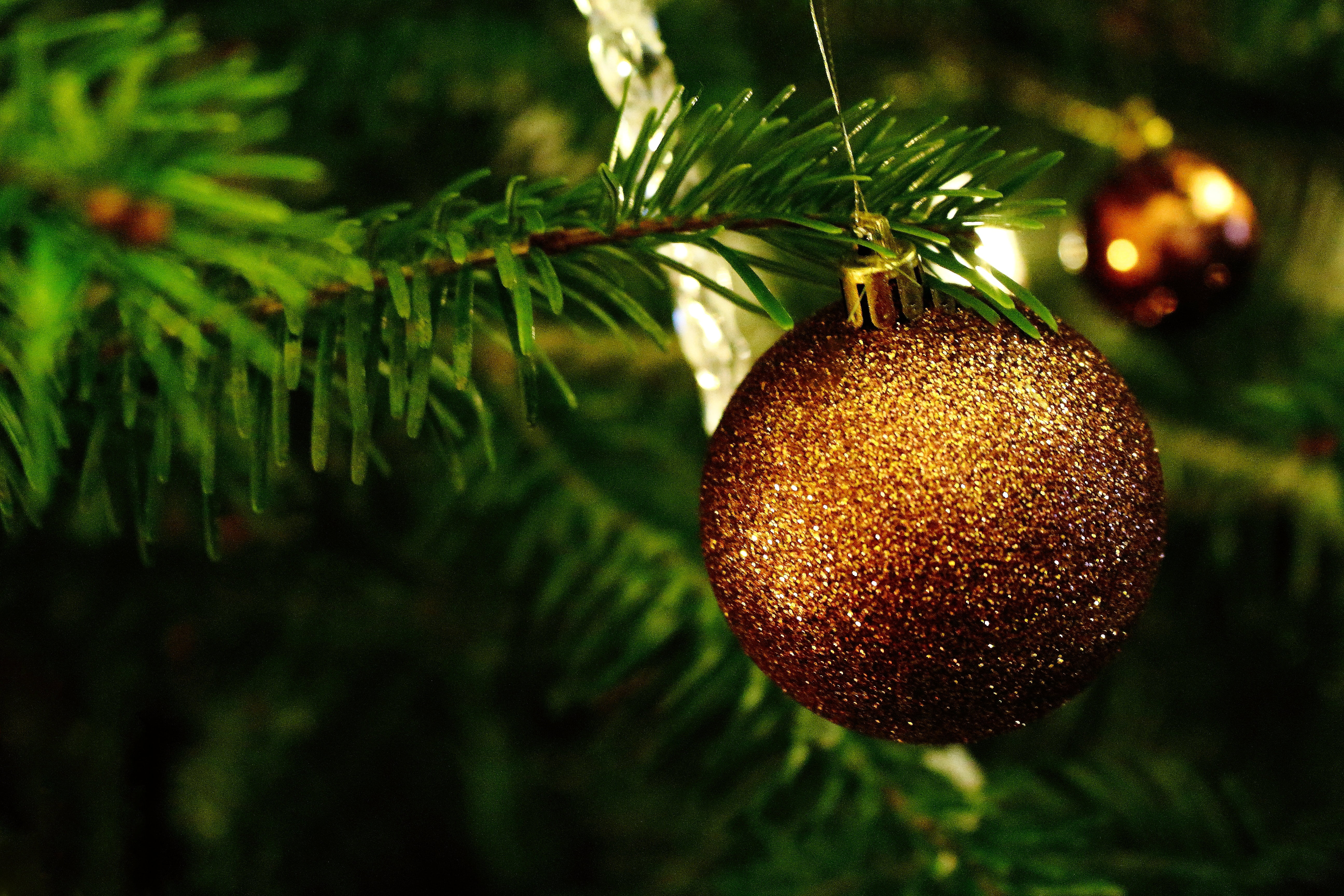 hanging, festive, happy fixed, christmas card, festival, advent, no people, christmas images, lens, christmas present, tilt, 5K, christmas greeting, christmas time, HD Wallpaper