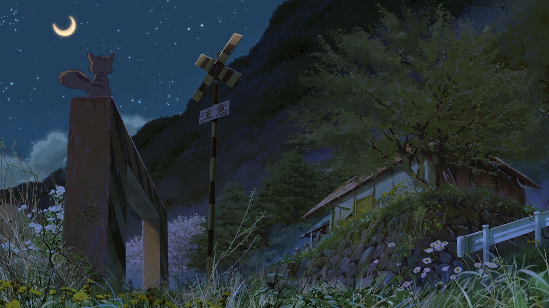growth, plant, px, tree, 1080P, no people, hoshi, built structure, wo, windows, technology, art, night, building exterior, sign, Hoshi Wo Ou Kodomo, beauty in nature, HD Wallpaper
