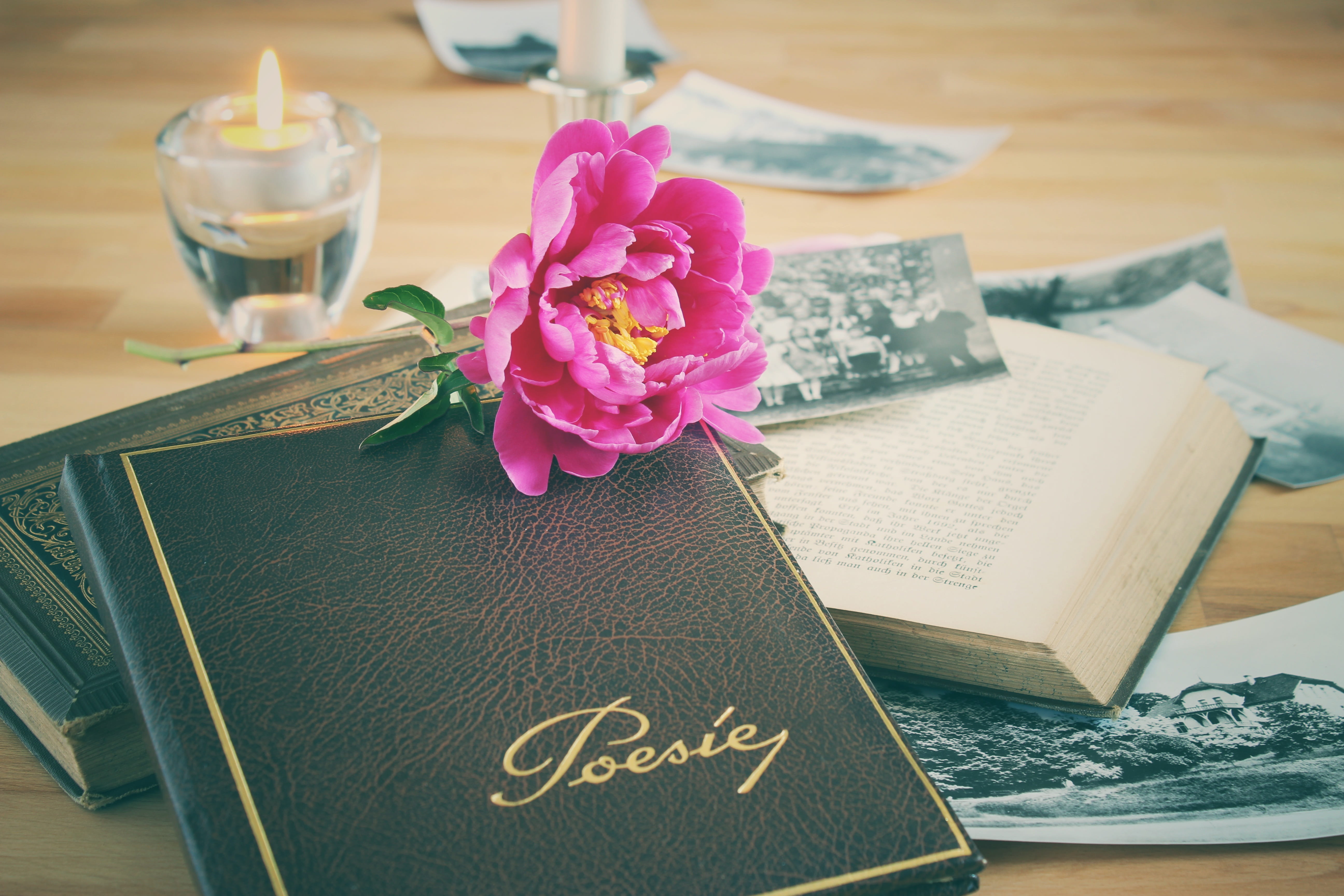 table, pink color, vintage, nature, nostalgia, close-up, high angle view, indoors, plant, freshness, poetry album, 5K, drink, peony, flowering plant, flower arrangement, HD Wallpaper