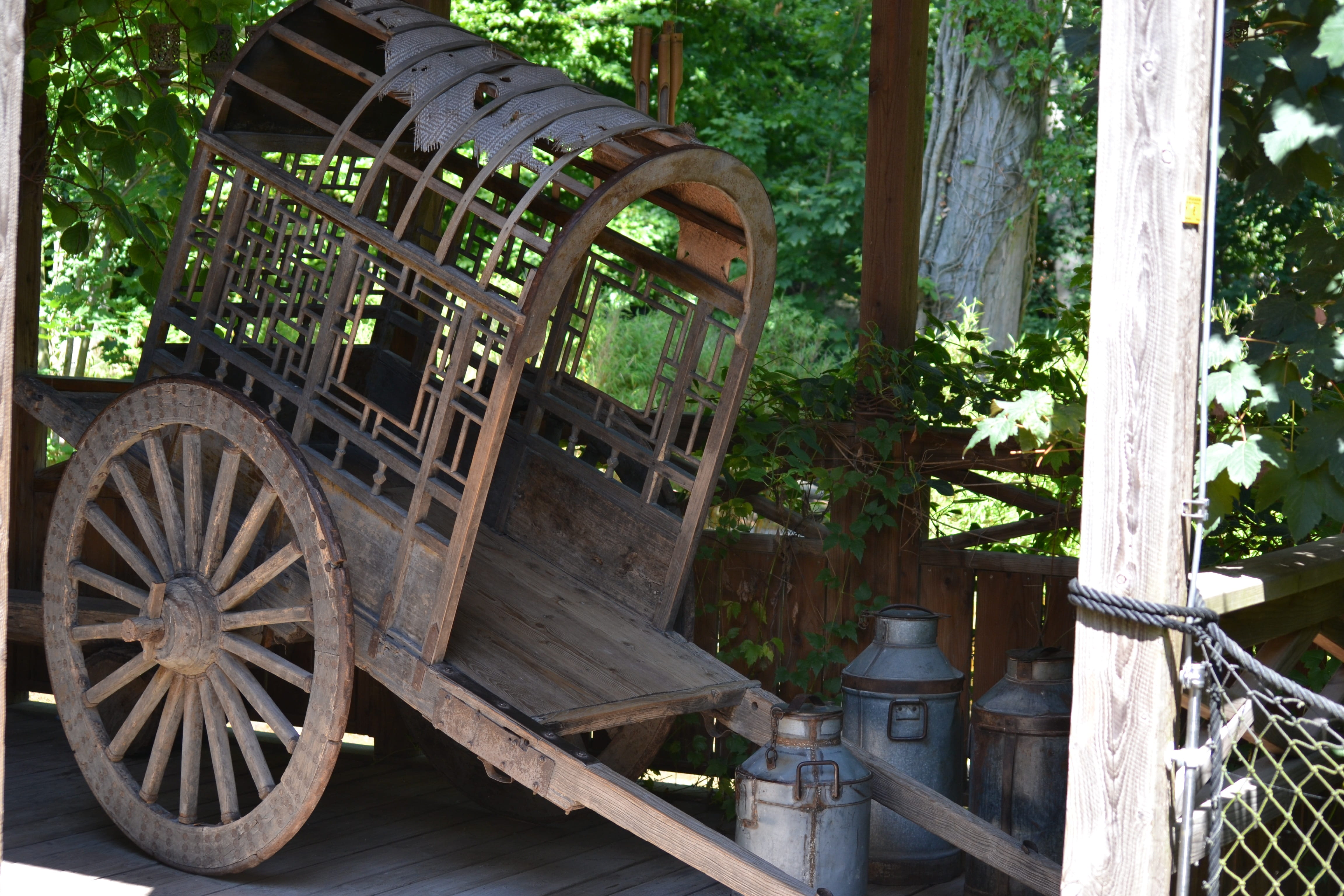 water, plant, wood - material, built structure, dare, formerly, wagon, tree, nature, outdoors, historically, no people, mode of transportation, day, railing, HD Wallpaper