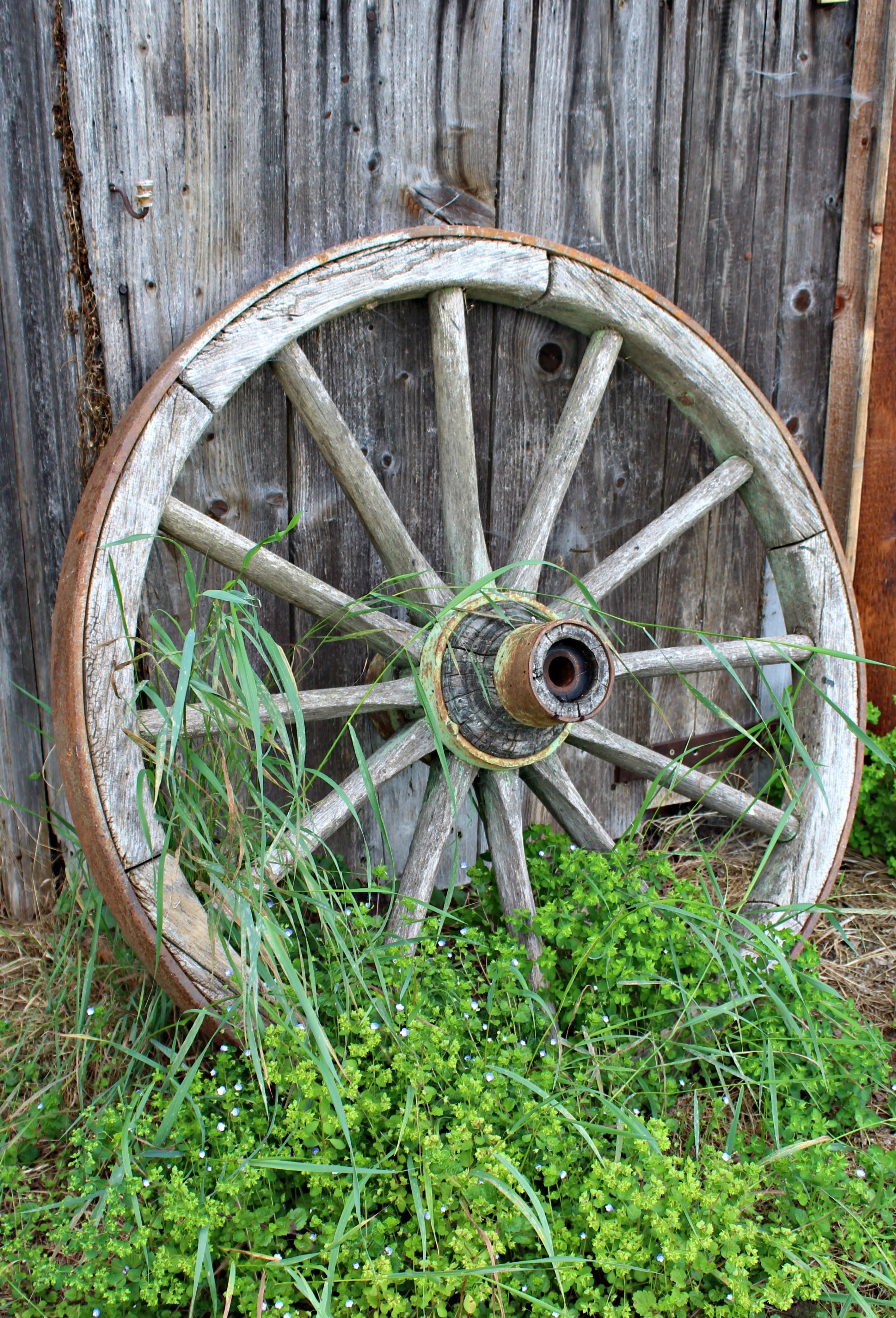 nature, transportation, wood, wooden wheel, nostalgia, old wagon wheel, obsolete, deterioration, shape, plant, ancient times, field, wheel, outdoors, weathered, Phone HD Wallpaper