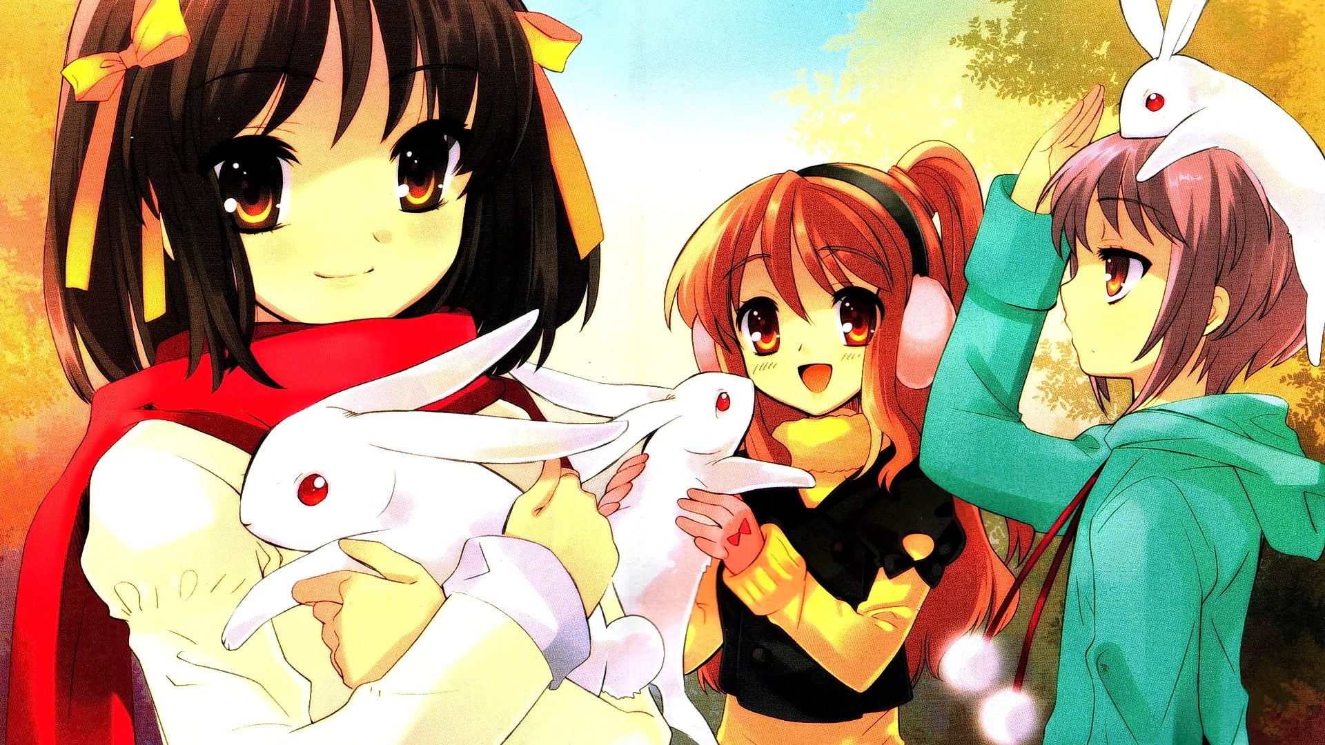 group of people, anime girls, anime, lifestyles, outdoors, short hair, rabbits, Suzumiya Haruhi, people, The Melancholy of Haruhi Suzumiya, female likeness, HD Wallpaper