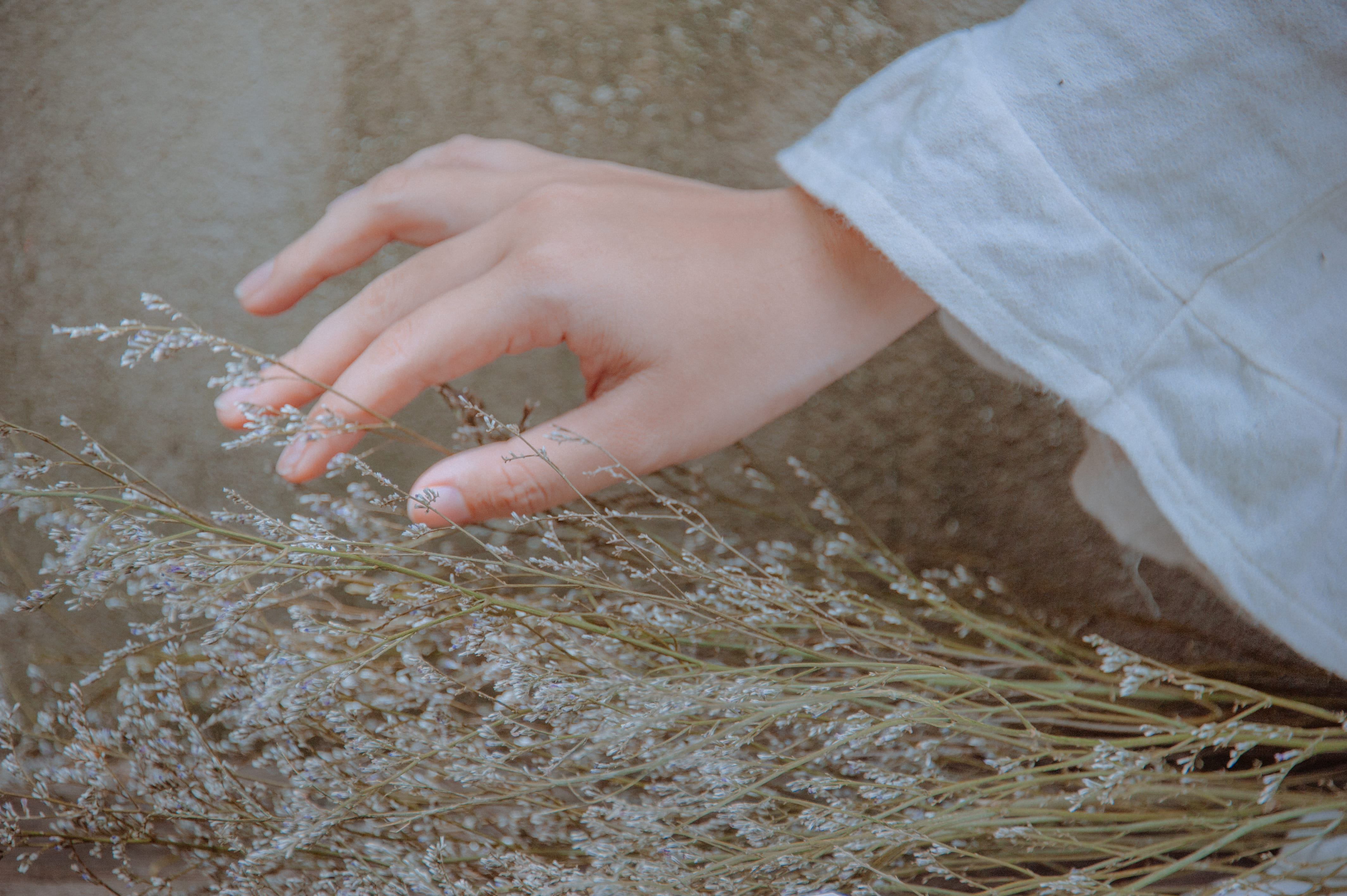 photography, human body part, touching, human hand, child, human limb, women, plants, nature, close, cereal plant, focus, day, blurr, land, 4K, finger, HD Wallpaper