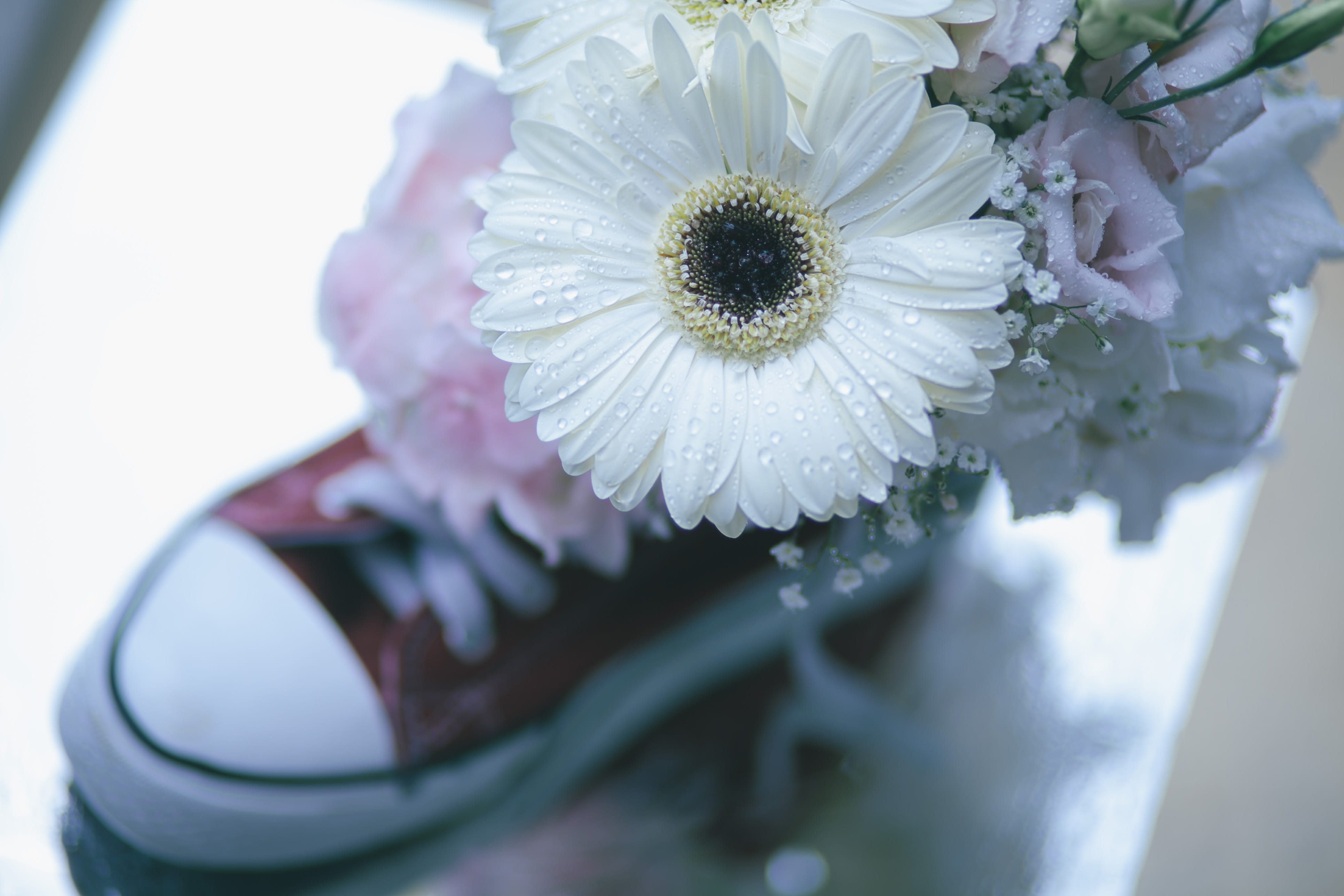 beauty in nature, details, outdoors, vulnerability, freshness, bokeh, blurr, inflorescence, flower head, drops, flowering plant, fragility, no people, close-up, HD Wallpaper