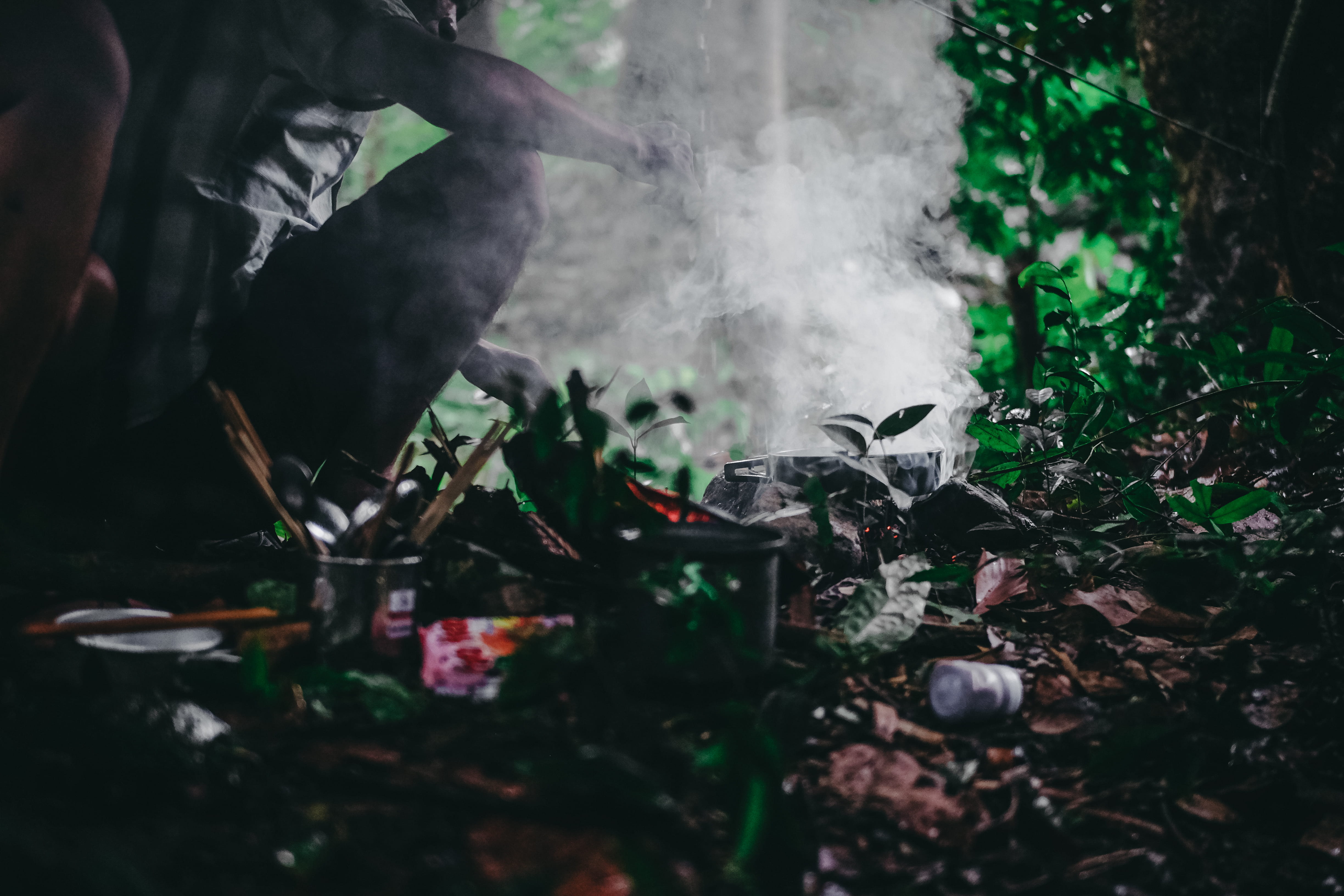 selective focus, rain, forest, day, burning, human hand, plant, smoke, hand, blurr, waste, outdoors, 4K, close-up, nature, emitting, green, game, smoke - physical structure, HD Wallpaper