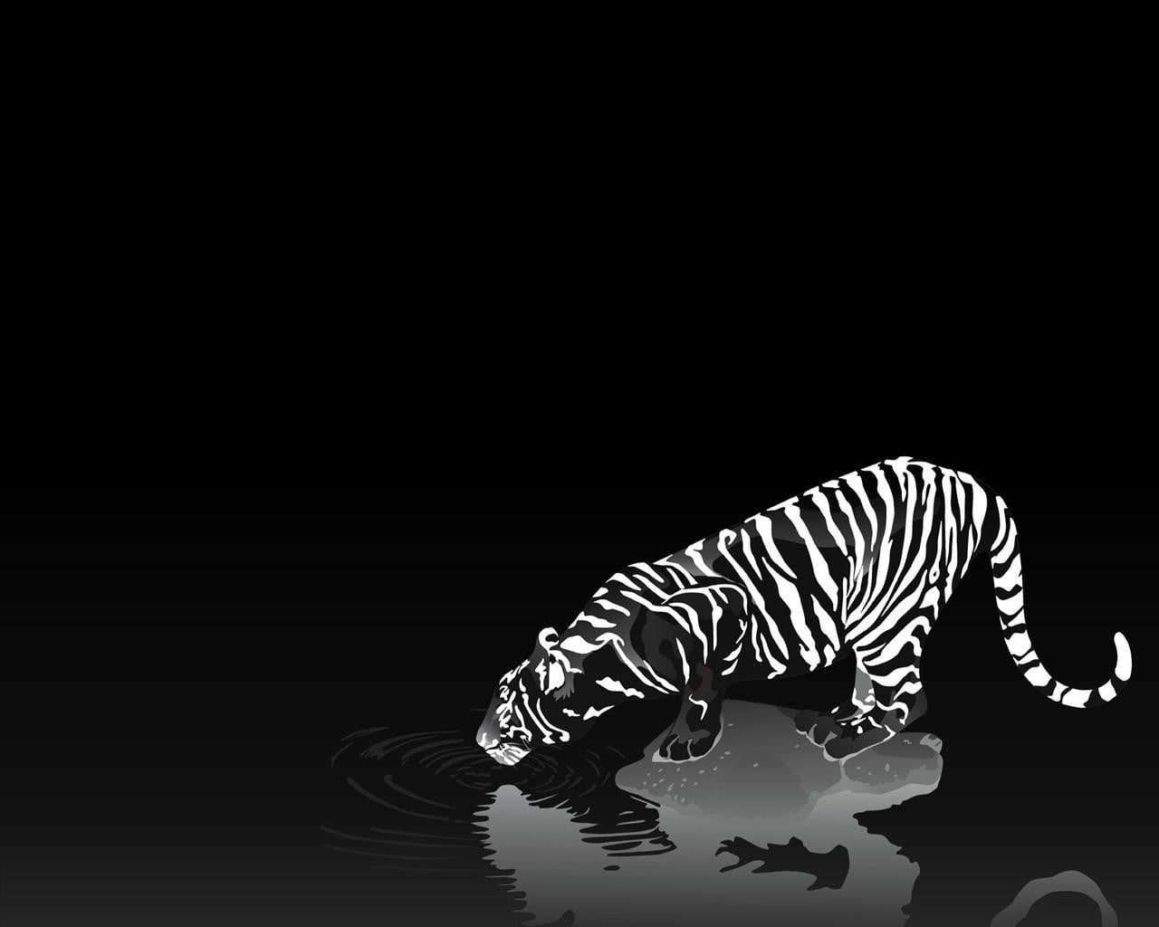 no people, studio shot, black color, side view, full length, tiger, art and craft, indoors, monochrome, animal, domestic animals, zebra, animal themes, HD Wallpaper