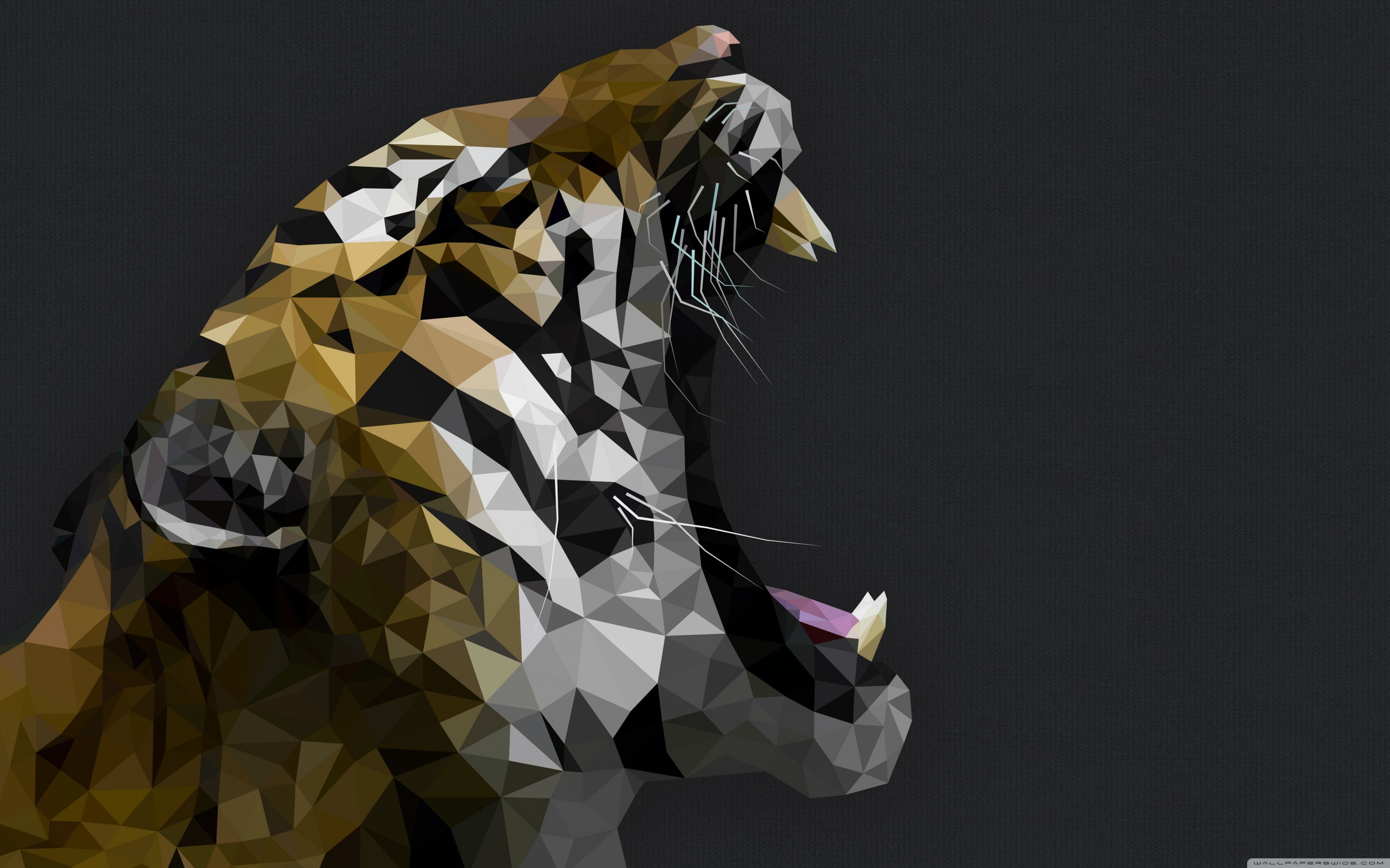 clothing, clip, art, men, black background, obscured face, gray background, adult, unrecognizable person, tiger, white color, 4K, real people, lifestyles, HD Wallpaper