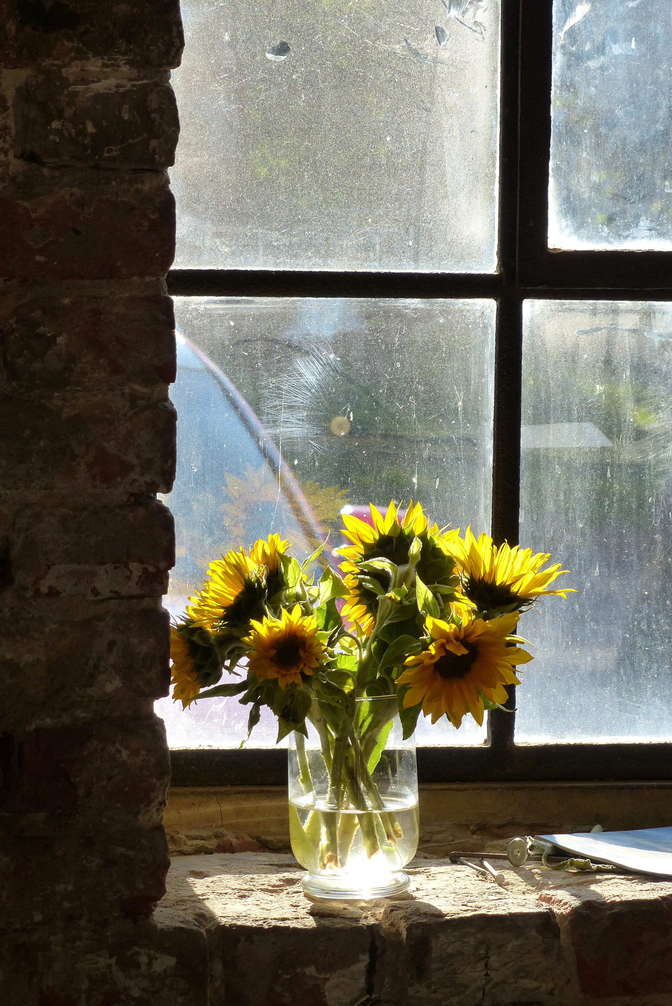 still life, lapsed, flower arrangement, nature, close-up, no people, clear, table, old, brick, yellow, building, window, inflorescence, factory, 4K, flower, Phone HD Wallpaper