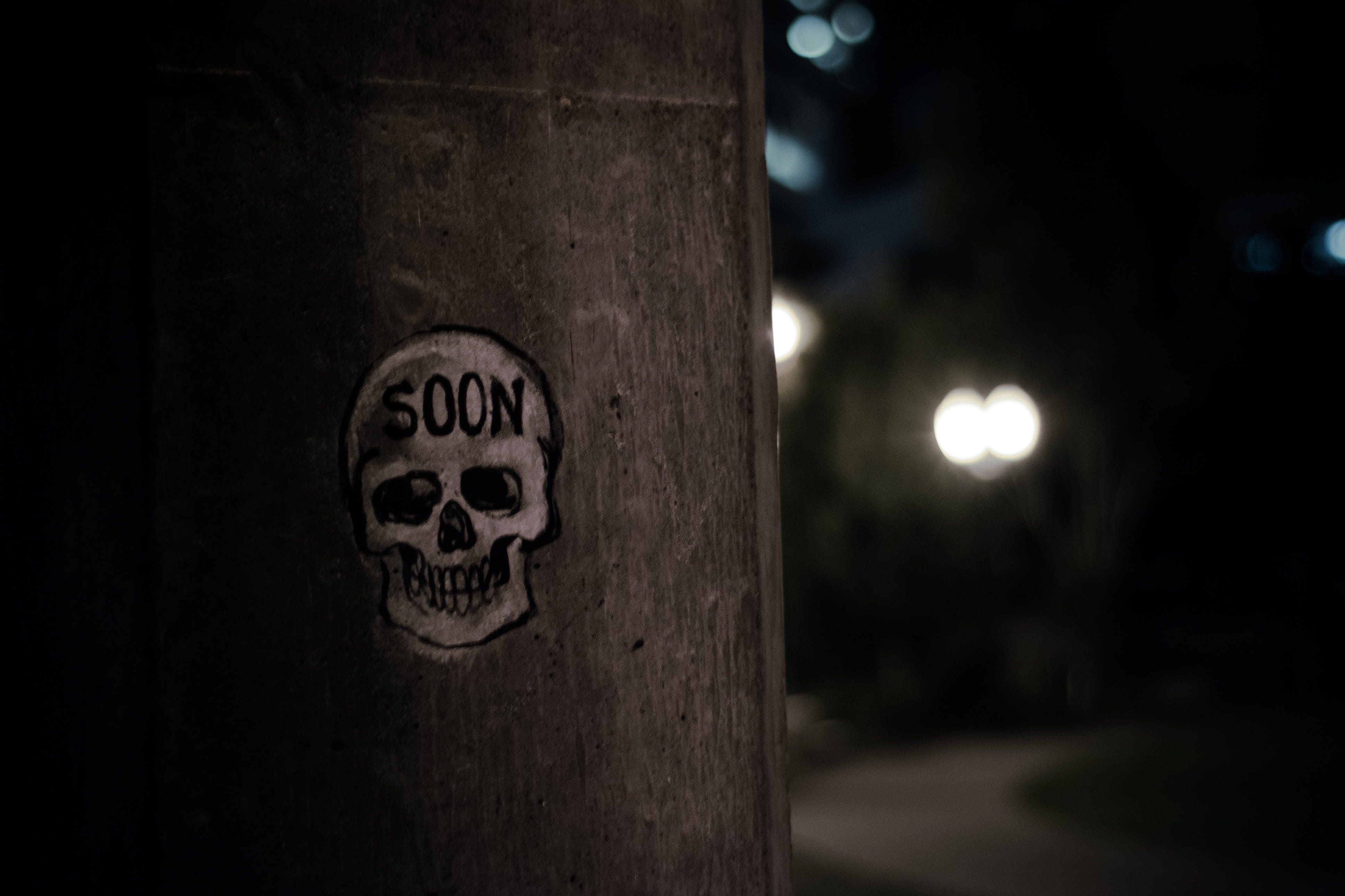 mystery, close-up, portland, focus on foreground, wood - material, united states of america, moonlight, moon, no people, human skeleton, full moon, communication, HD Wallpaper