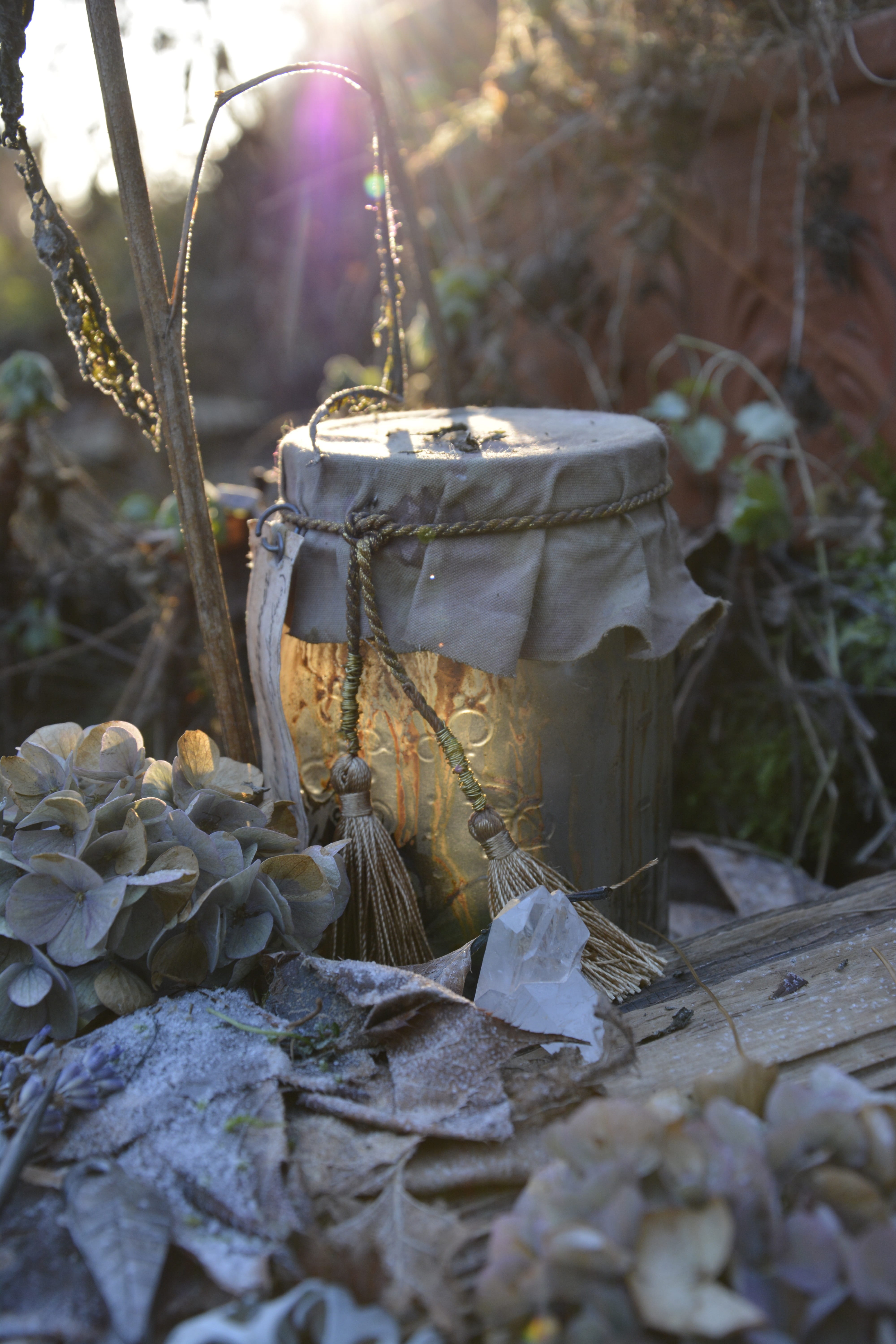 land, selective focus, dry, close-up, food, Winter, Old, sunlight, Glass, field, leaves, wilted flowers, beauty in nature, leaf, no people, food and drink, Phone HD Wallpaper