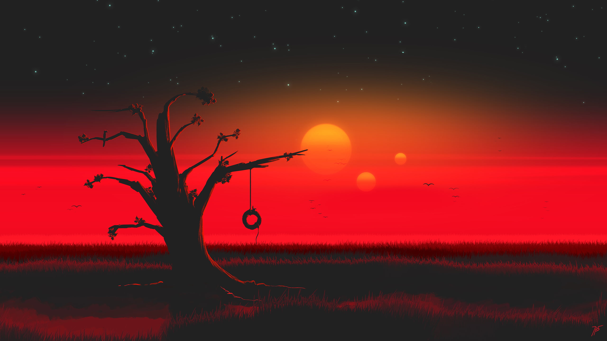 JoeyJazz, tree trunk, field, evening, 2K, HD Wallpaper
