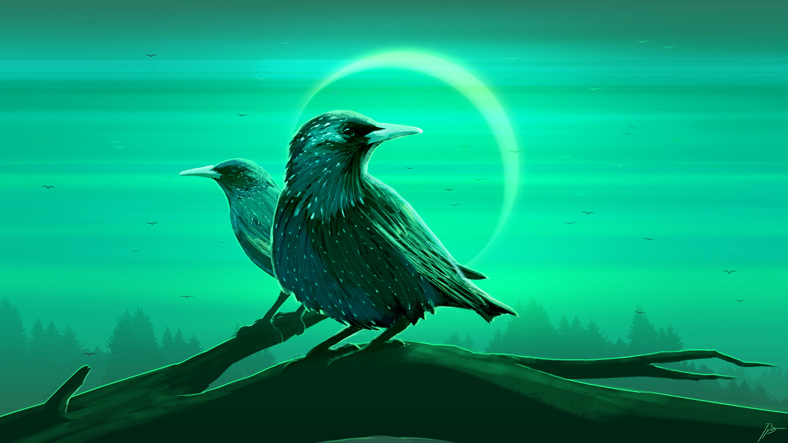 2K, starling, birds, JoeyJazz, HD Wallpaper
