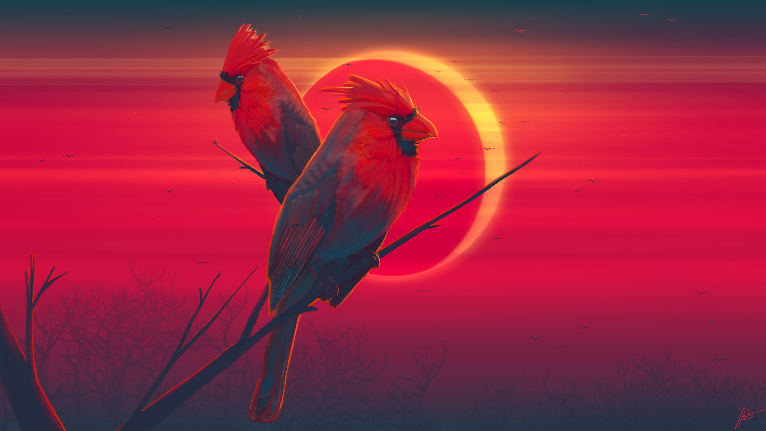 Cardinals, JoeyJazz, 2K, eclipse, HD Wallpaper