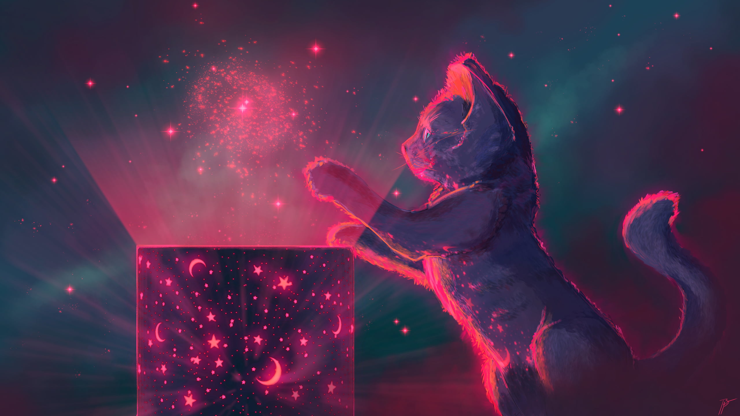 cats, stars, fantasy art, JoeyJazz, 2K, kittens, HD Wallpaper