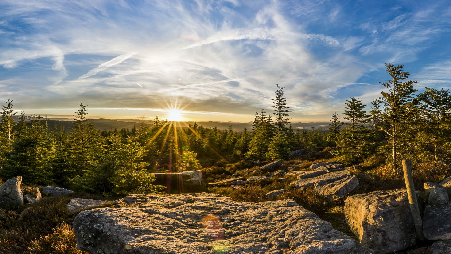 nature, 1080P, france, foret, vosges, landscape, HD Wallpaper