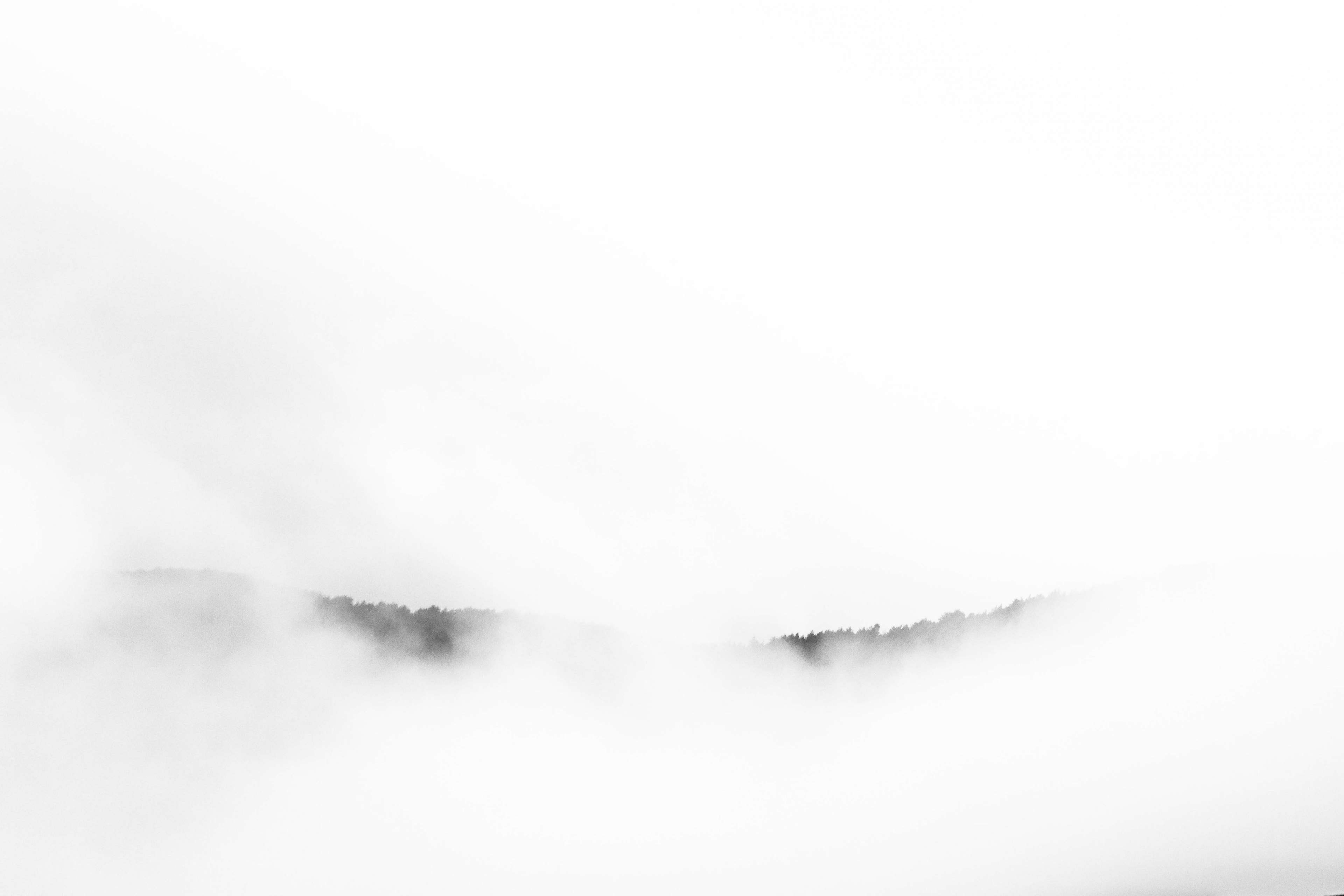 landscape, no people, fog, tranquility, 4K, non-urban scene, white color, trees, autumn, fall, clouds, nature, automne, brouillard, environment, copy space, HD Wallpaper