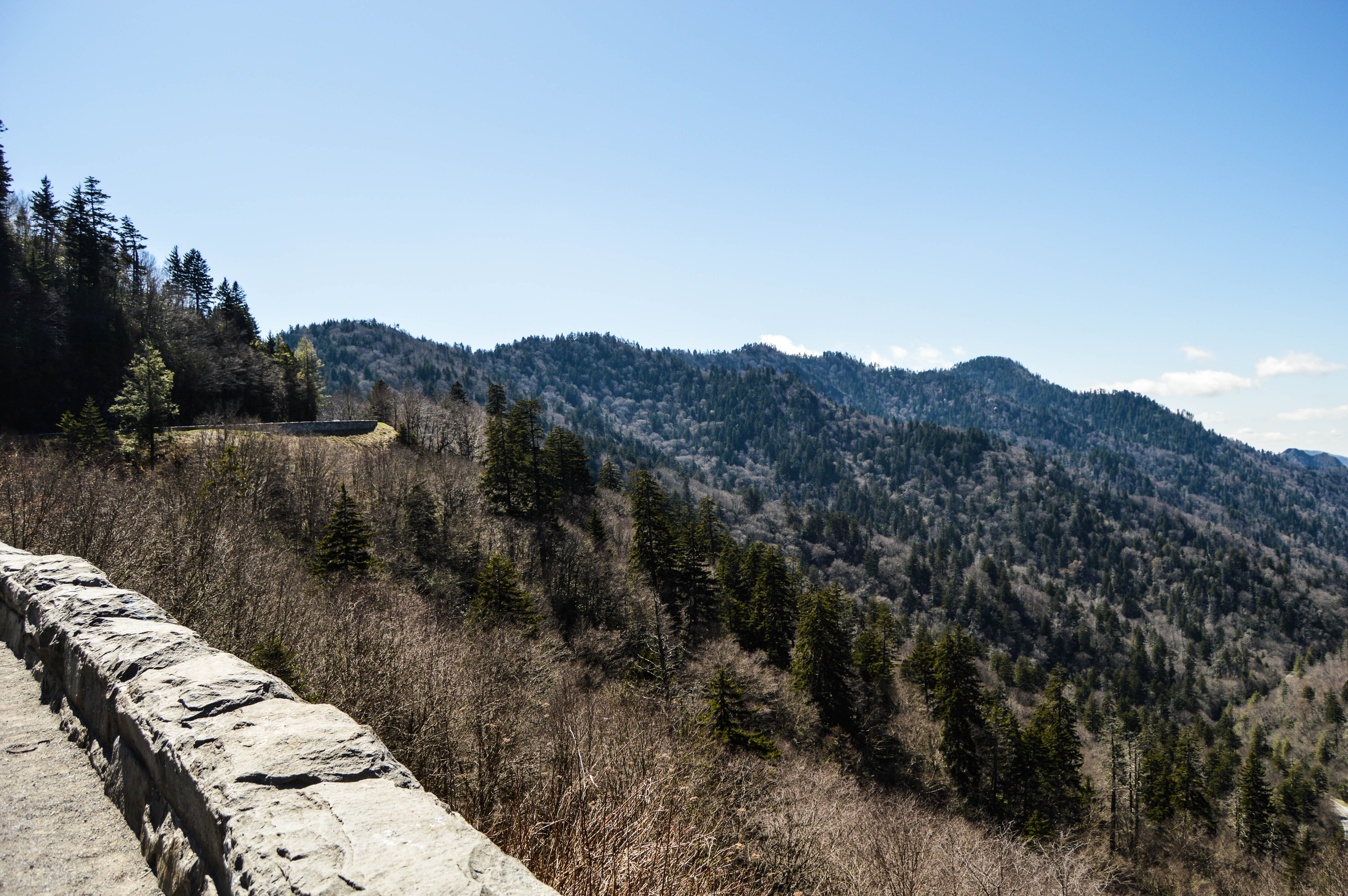 skyline, tranquil scene, great smoky mountains national park, mountain range, no people, tree, beauty in nature, no, mountain, sky, sunlight, trees, scenics - nature, HD Wallpaper