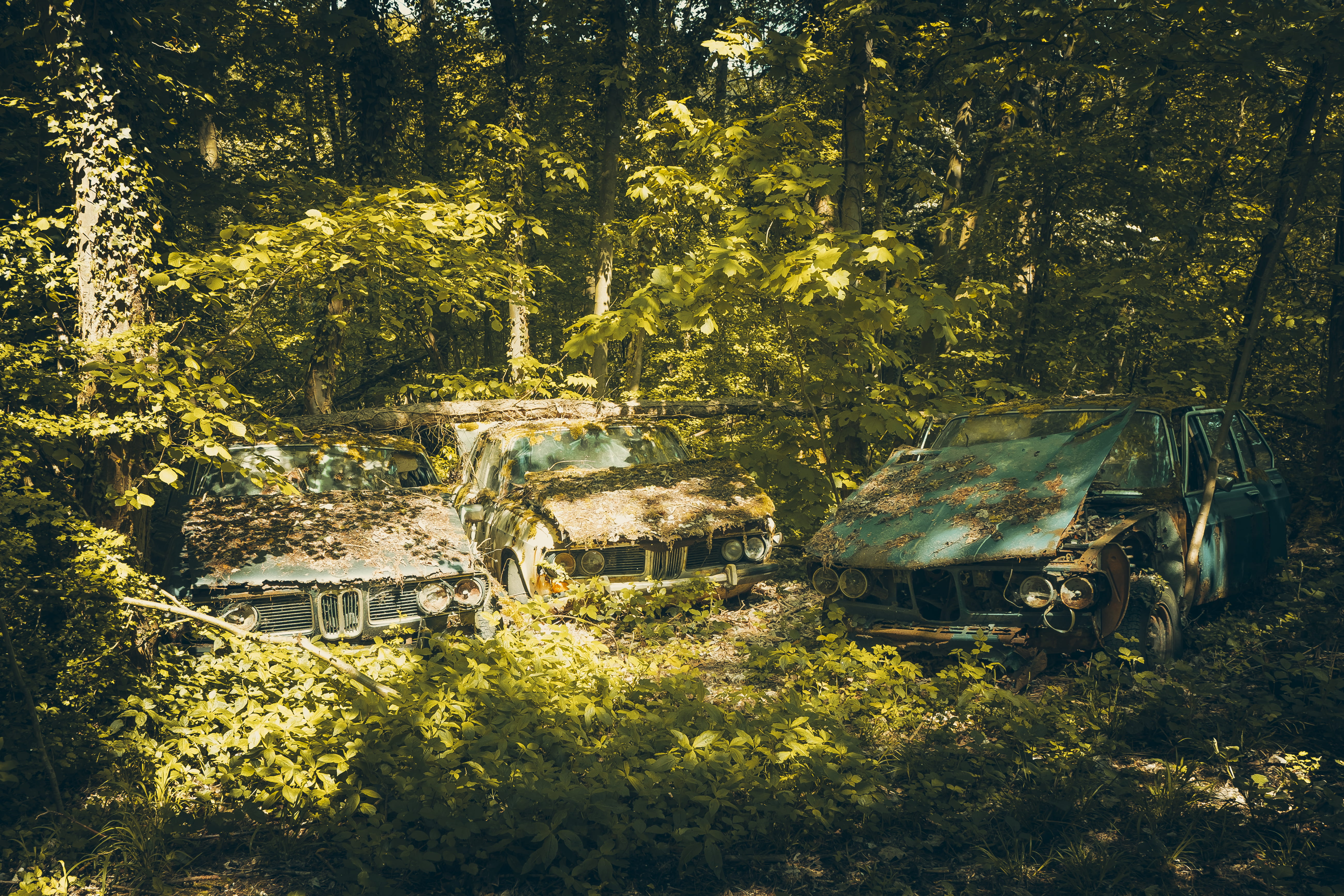 field, forest, perdu, housing, moyse, military uniform, green, transportation, countryside, urbex, old, land, tree, 5K, hut, trees, military, built structure, HD Wallpaper