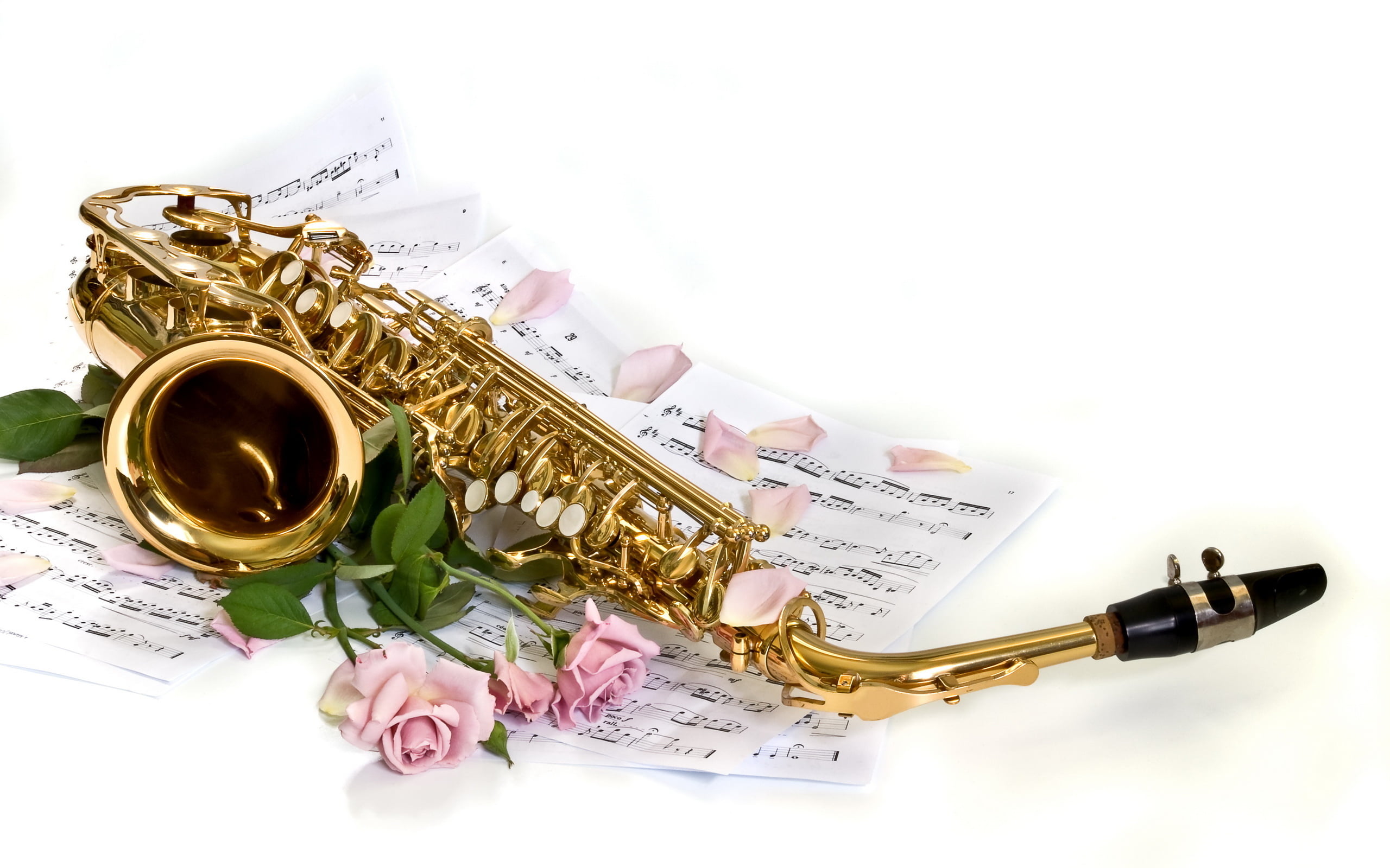 western script, close-up, brass, 2K, studio shot, still life, paper, gold, flowers, flower, saxophone, wind, indoors, text, white background, no people, HD Wallpaper
