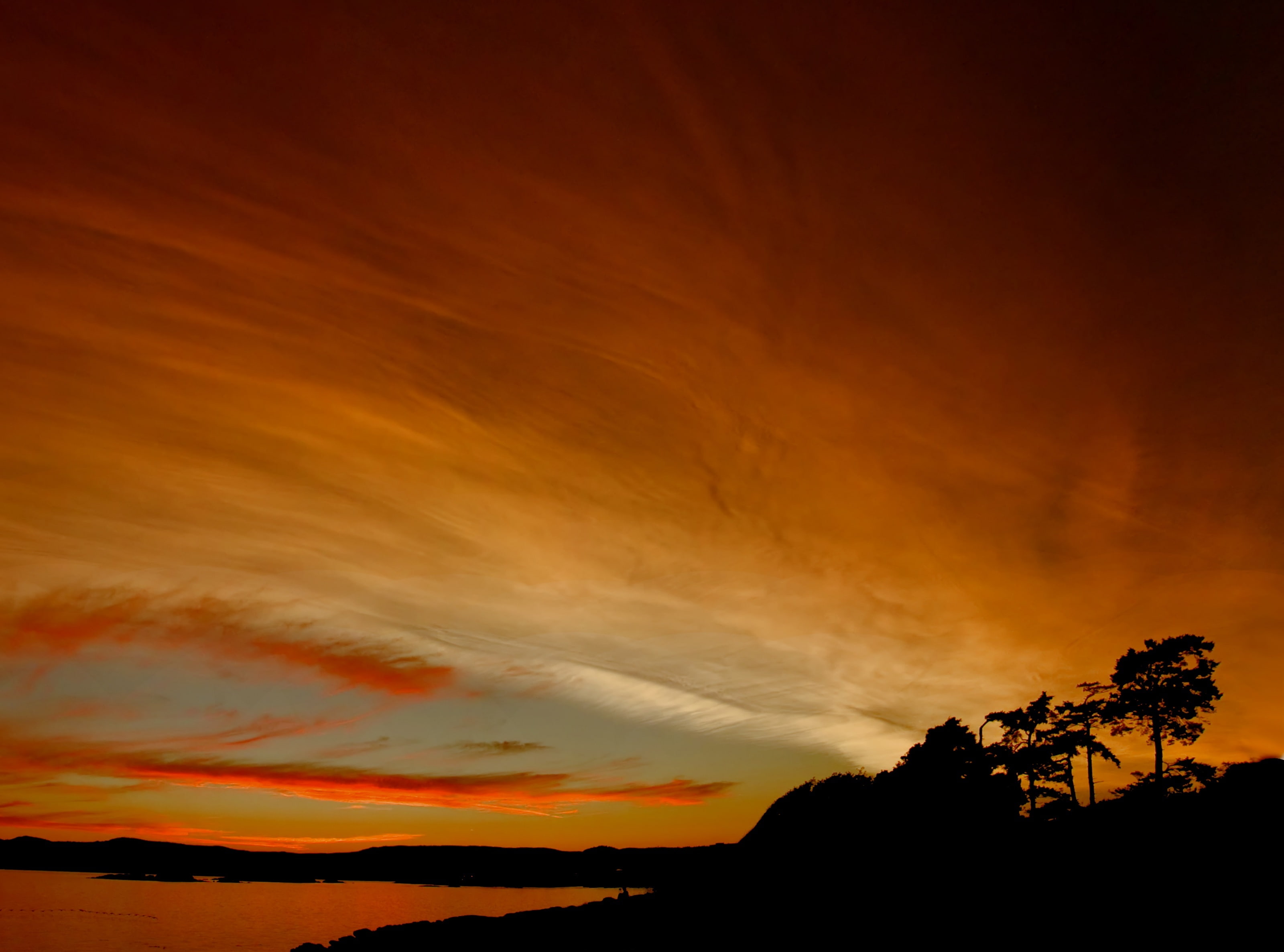 cloud - sky, vertorama, sunset, majestic, beauty in nature, panorama, non-urban scene, tree, saxe, Dome, awe, outdoors, plant, low angle view, Point, no people, HD Wallpaper