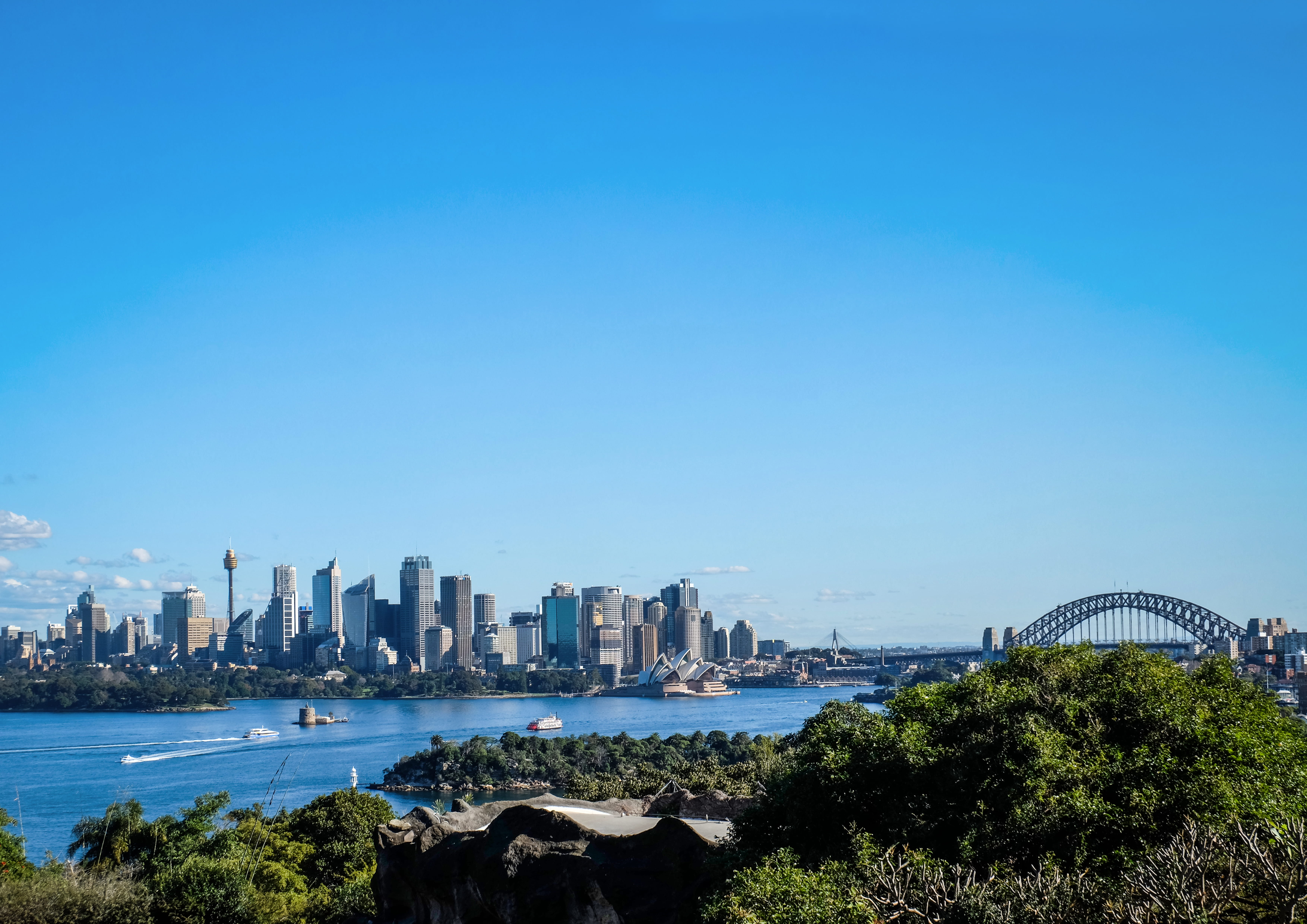 boat, nature, building, 5K, day, skyscraper, building exterior, 2018, australia, clear sky, sea, city, zoo, mosman, built structure, buildings, sydney, HD Wallpaper