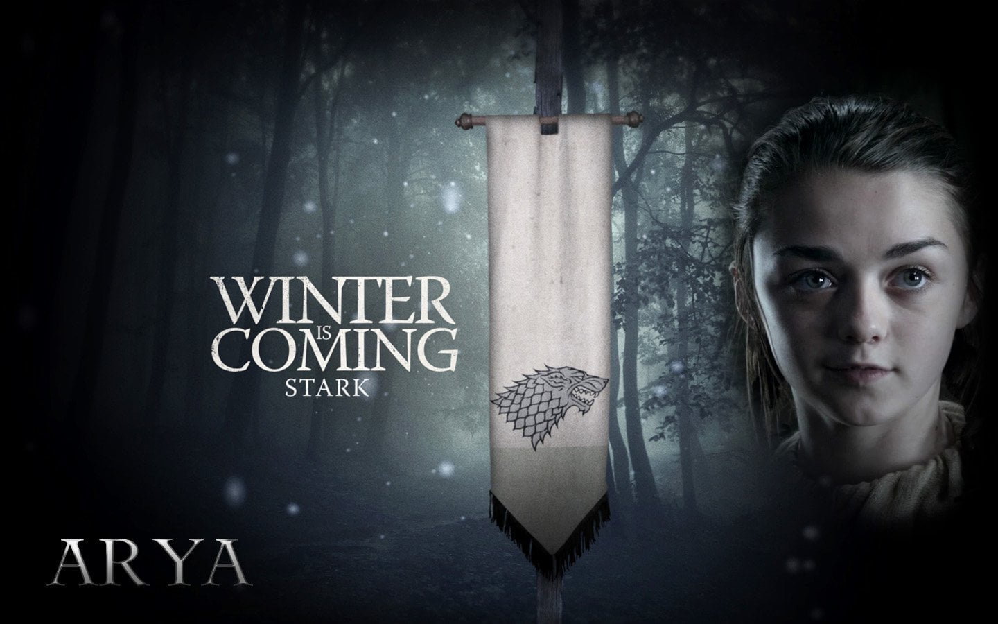 arya, thrones, casual clothing, sign, women, contemplation, portrait, western script, one person, young adult, TV Show, Game Of Thrones, game, adult, dark, HD Wallpaper
