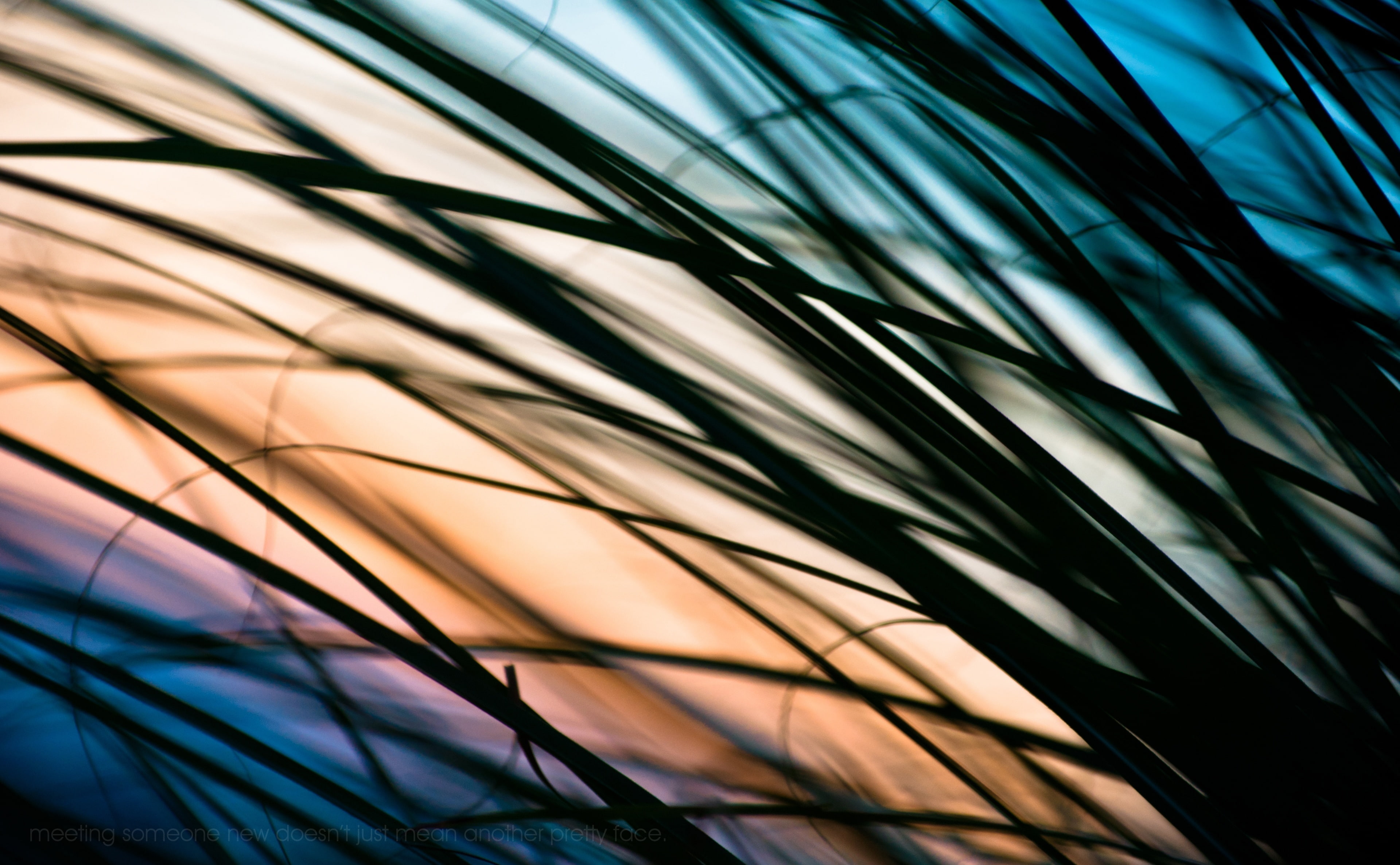 textile, grass, sky, textured, backgrounds, multi colored, protection, t, built structure, day, nature, close-up, yet, met, Love, search, no people, low angle view, HD Wallpaper