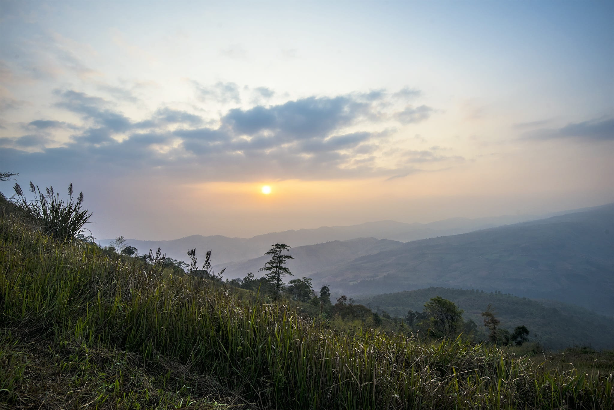 tree, yet, sun, land, mountain, nature, grass, sky, petchaboon, phu lom lo, 1080P, no people, cloud - sky, environment, outdoors, idyllic, scenics - nature, HD Wallpaper
