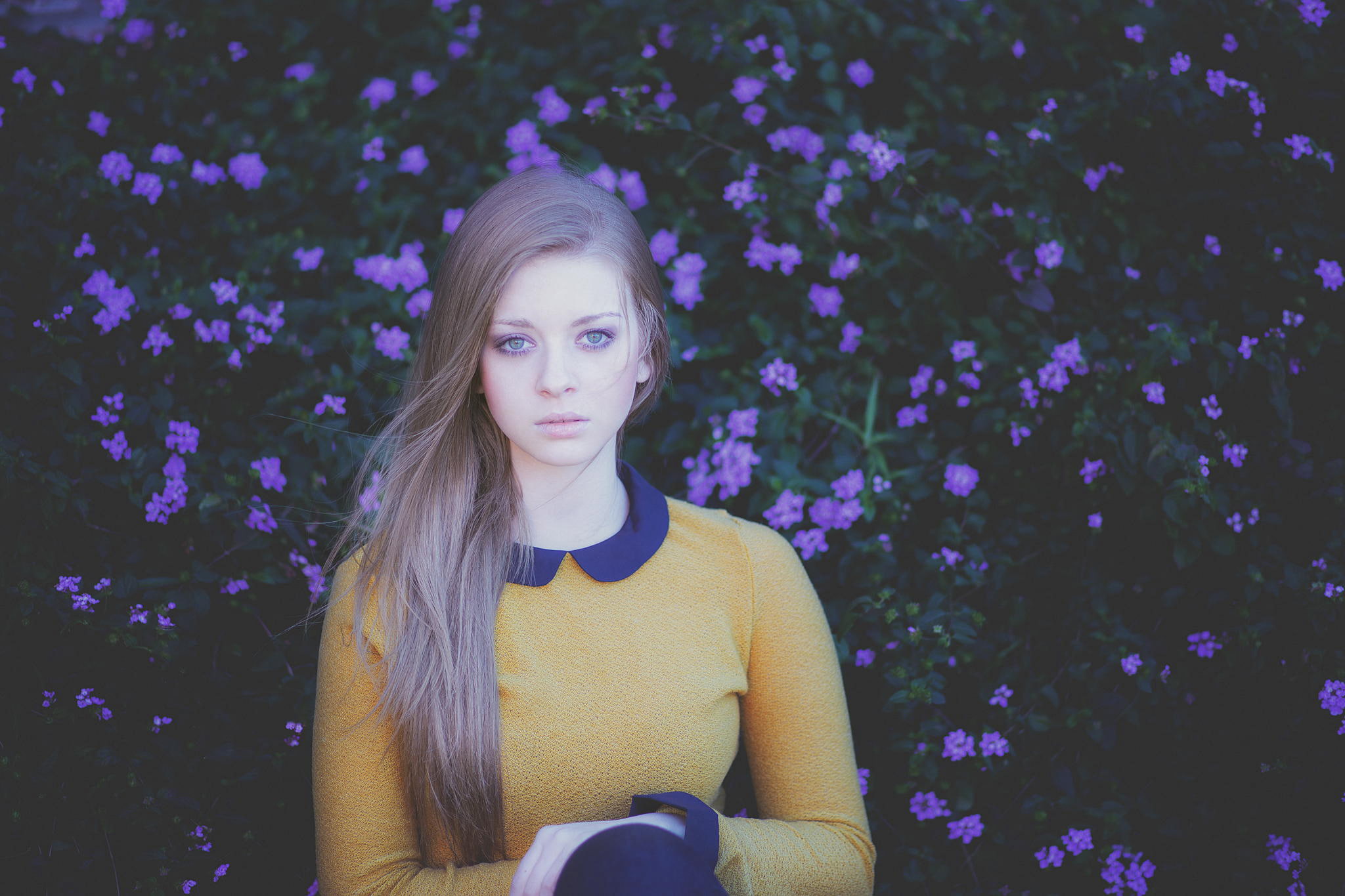 all purple, flowers, 1080P, look, portrait, HD Wallpaper
