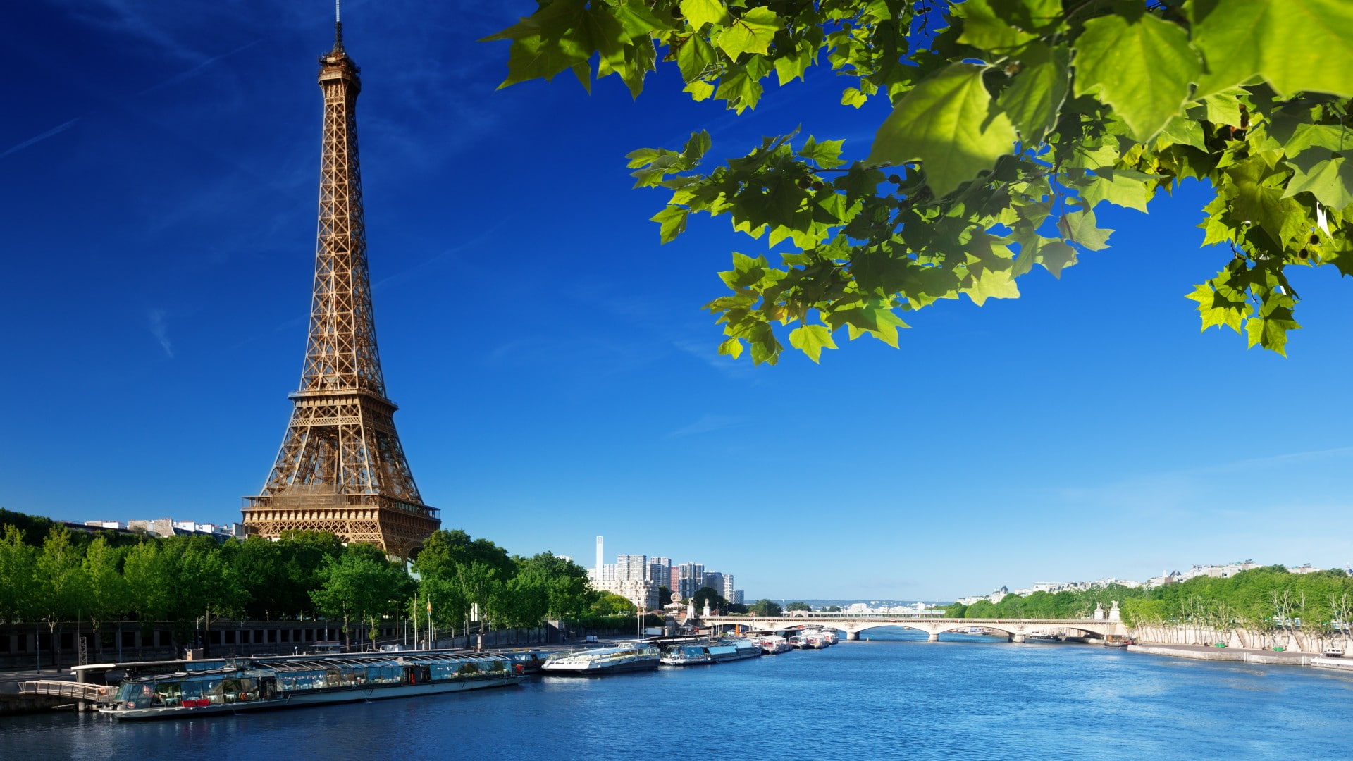 scenery, leafs, eiffel tower, 1080P, tower, france, summer, eiffel, HD Wallpaper