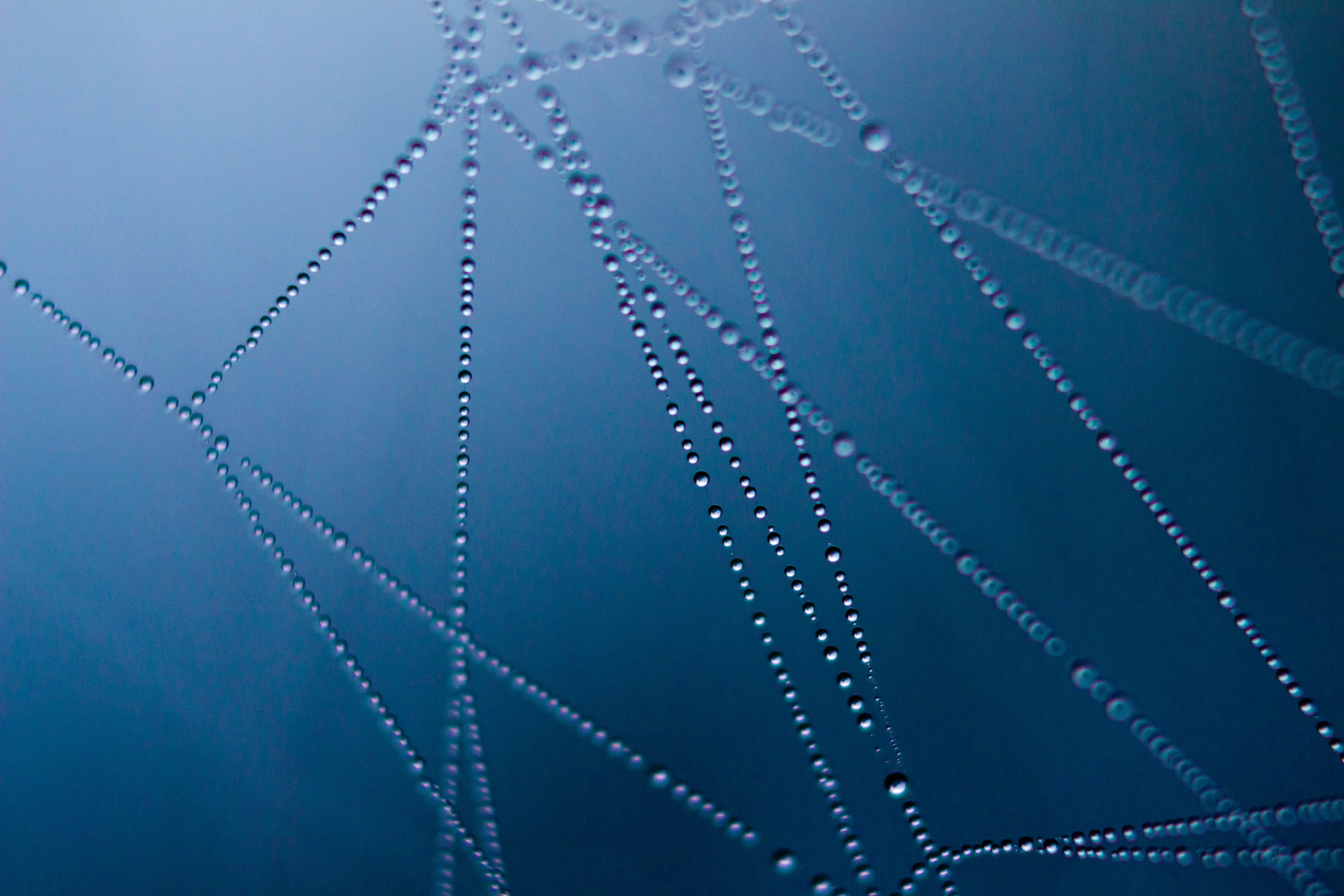 blue, indoors, dark, light, spider, web, water droplet, design, illustration, wet, no people, metal, textured effect, pattern, water, industry, studio shot, HD Wallpaper