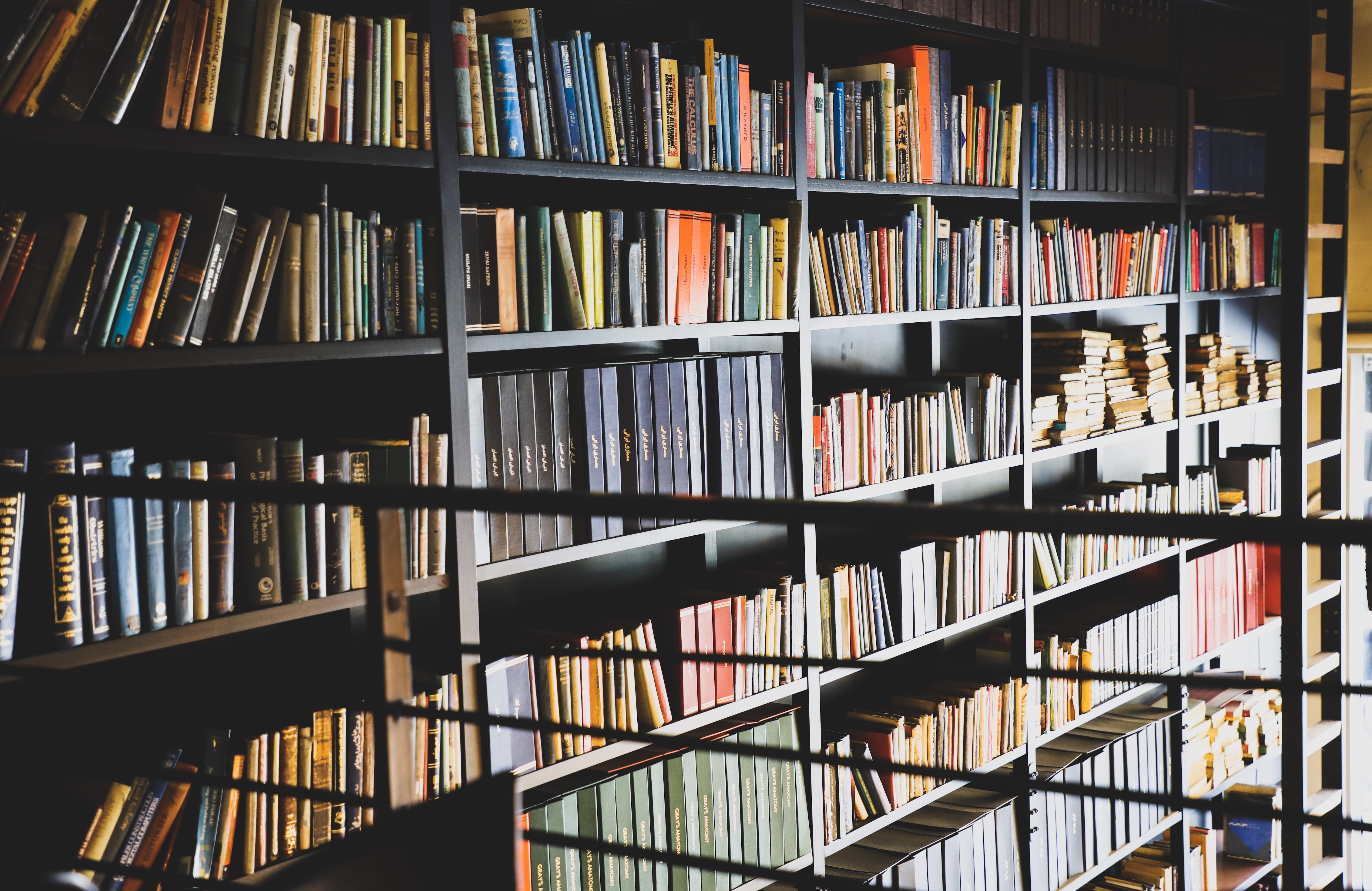 no people, in a row, still life, large group of objects, display, indoors, shelf, 5K, book store, books, literature, assorted, order, bookshelf, book, HD Wallpaper