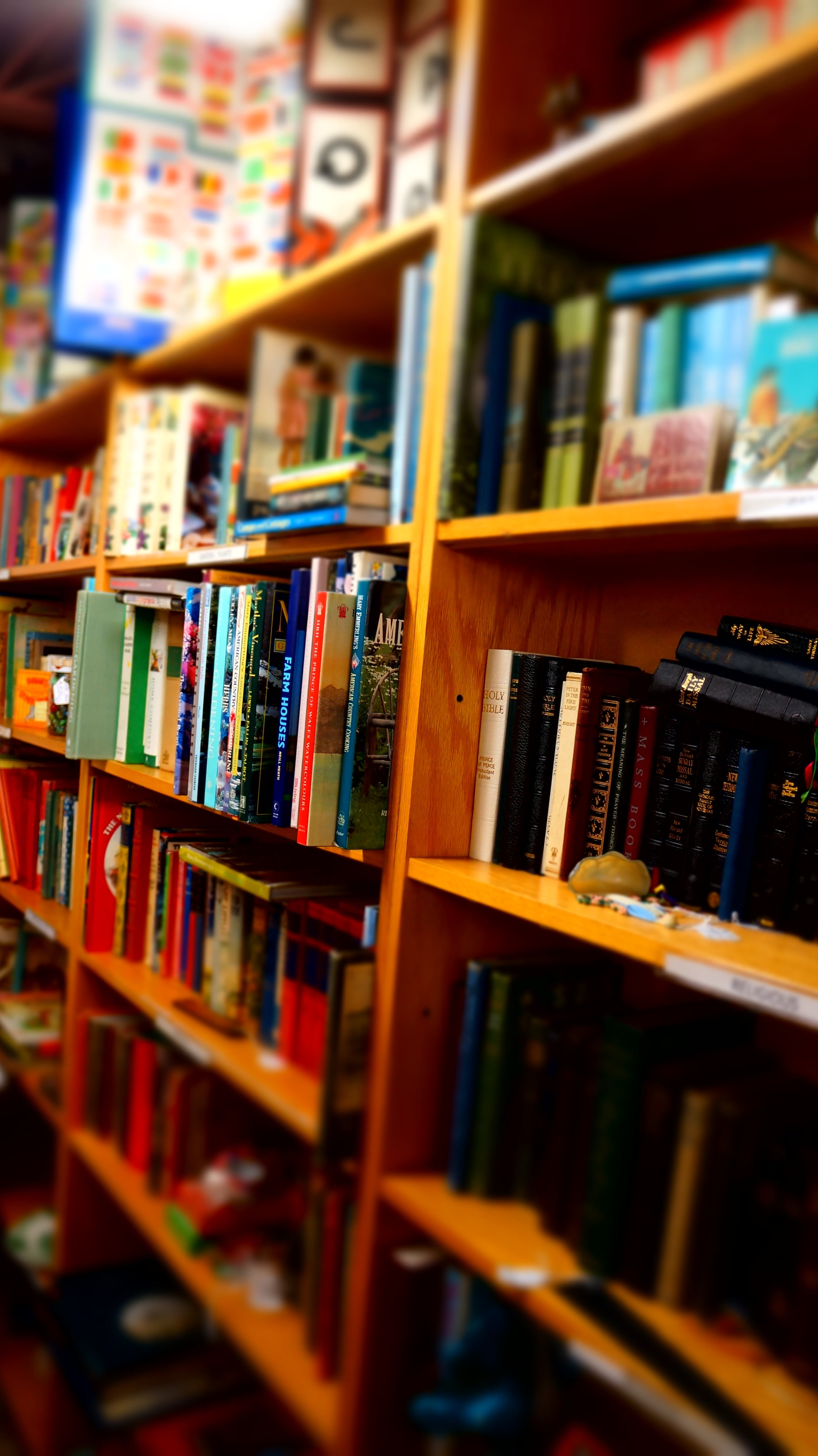 bookshelf, bookstore, publication, studies, choice, collection, variation, assorted, shelf, education, no people, learning, textbook, close-up, wooden shelves, Phone HD Wallpaper