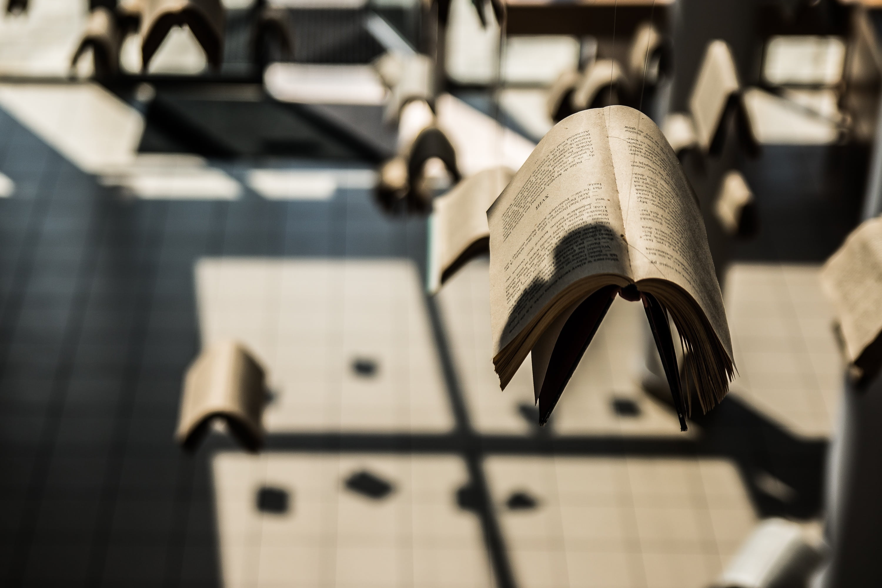 built structure, exposition, music, paper, the glass house, school, nature, communication, kielce, poland, hanging, indoors, ciekoty, zeromski, 2K, writing, HD Wallpaper