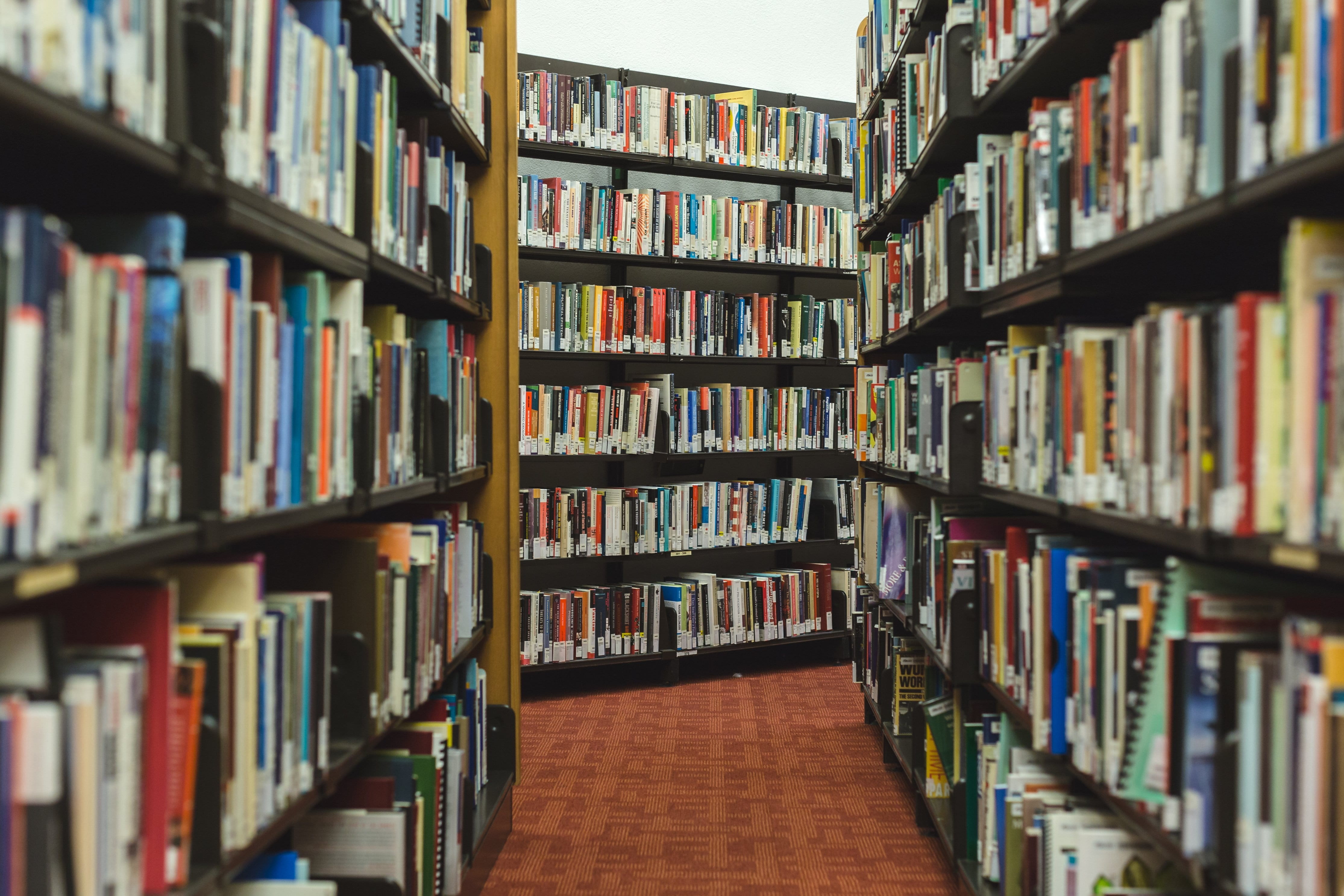 knowledge, shelves, bookworm, variation, indoors, research, learning, read, wisdom, side by side, book, lot, literature, diminishing perspective, studying, HD Wallpaper