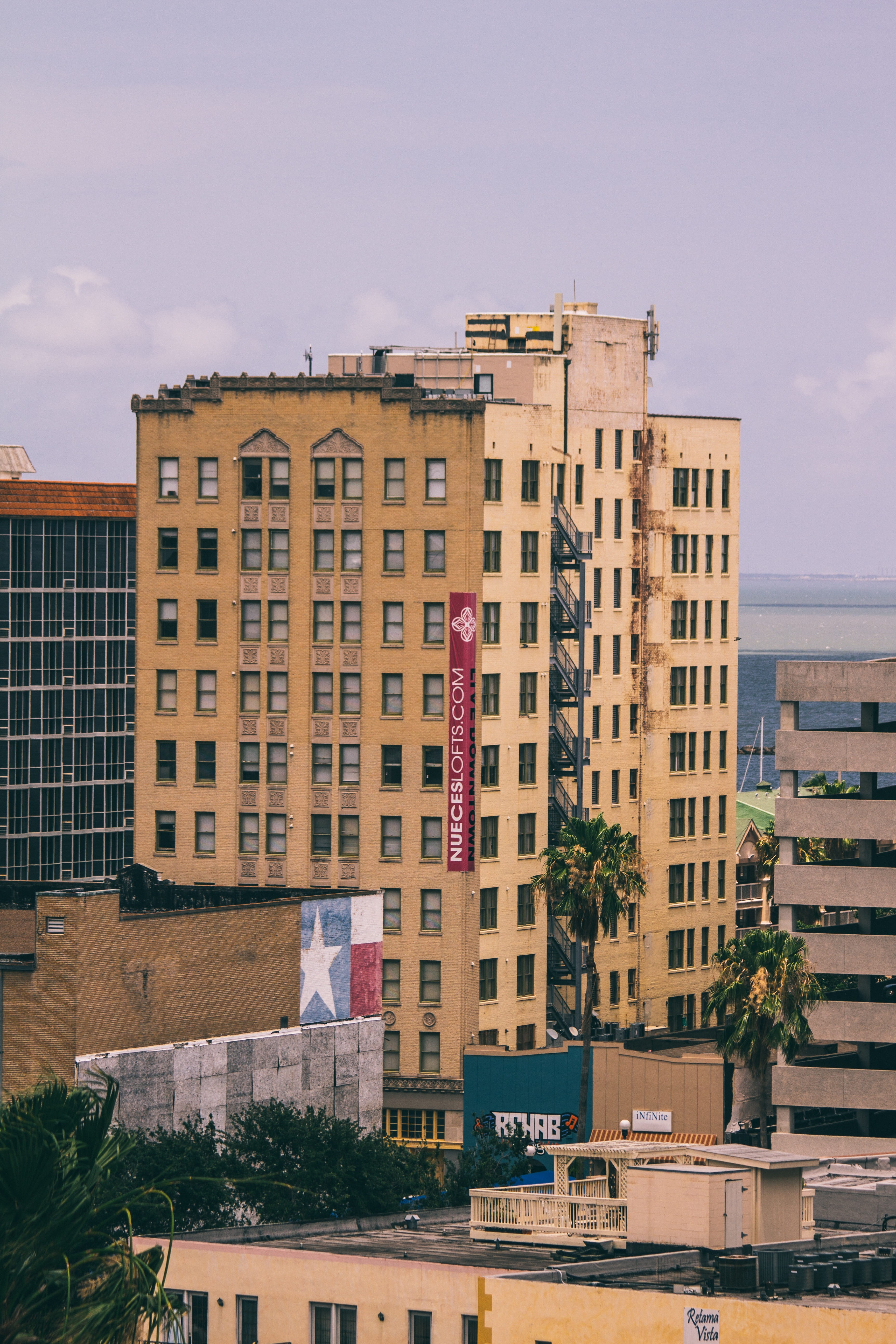 tree, united states, land vehicle, nature, street, corpus christi, window, community, city, apartment, building exterior, outdoors, sky, architecture, downtown, Phone HD Wallpaper