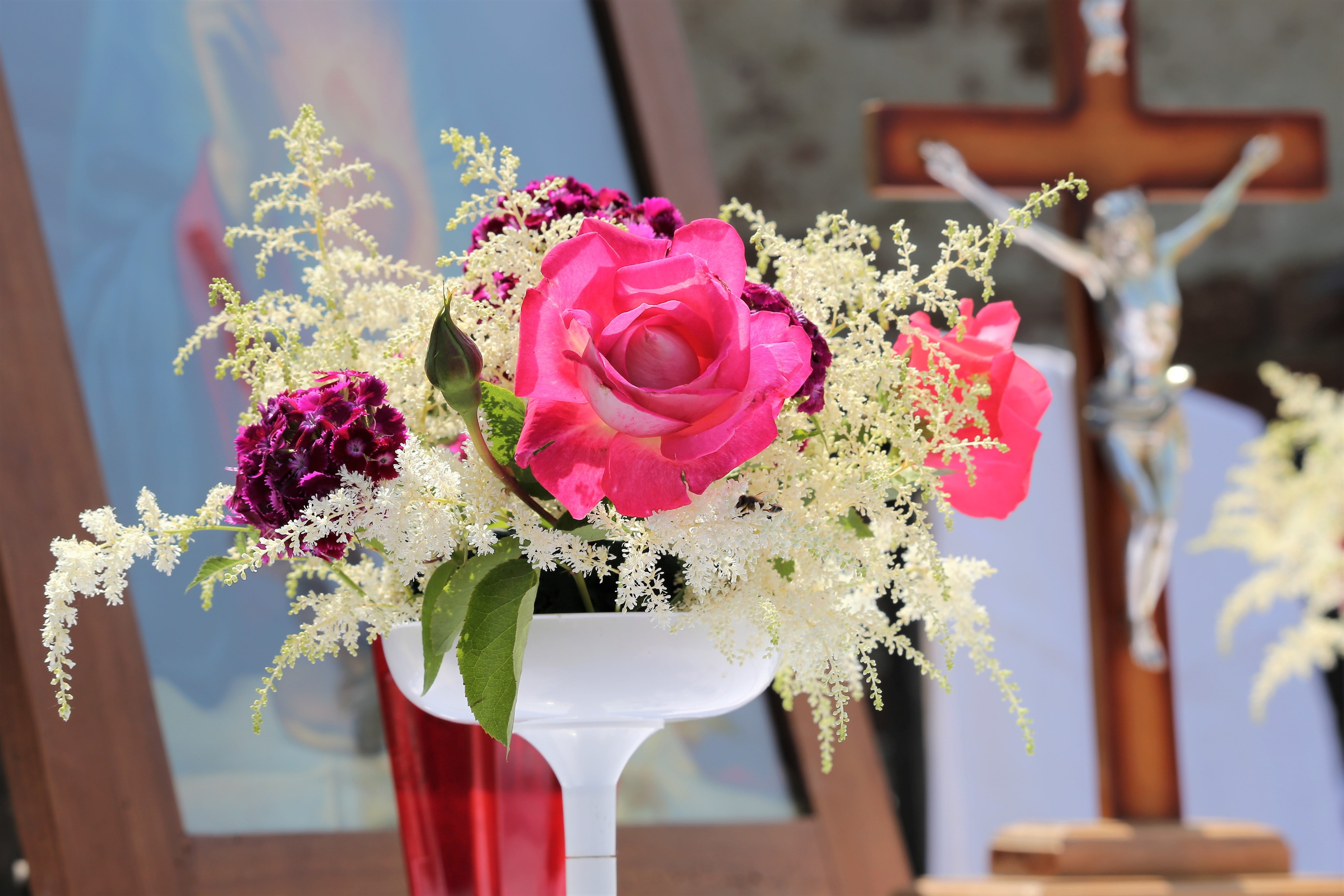 no people, tradition, pink roses, flower head, focus on foreground, rose - flower, rose, luxury, 5K, pink color, church, tijelovo, bouquet, flower, plant, HD Wallpaper