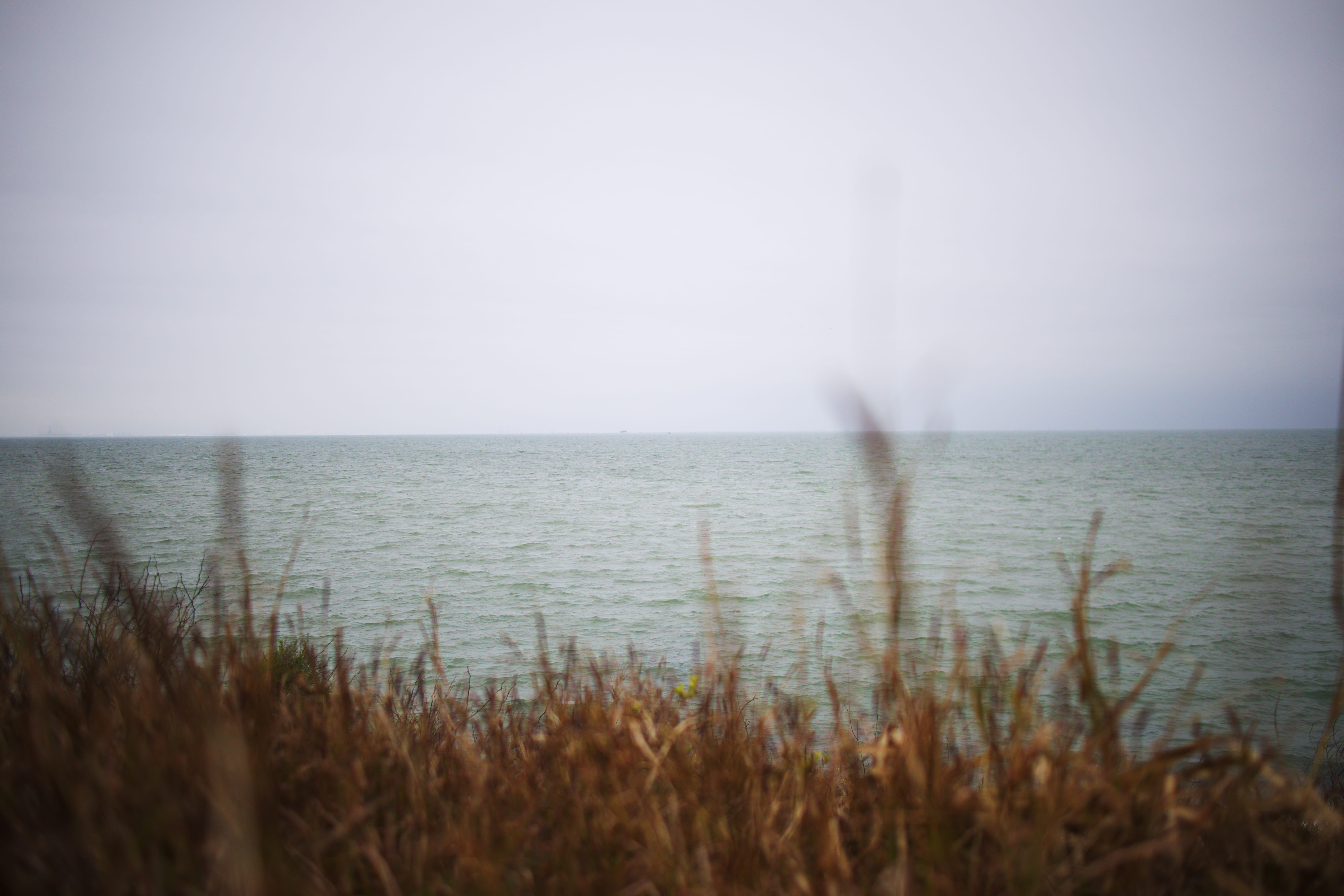 sky, lawn, environment, water, body, scenics - nature, plant, tranquility, contemplation, brown, gulf of mexico, corpus christi, beauty in nature, beach, HD Wallpaper