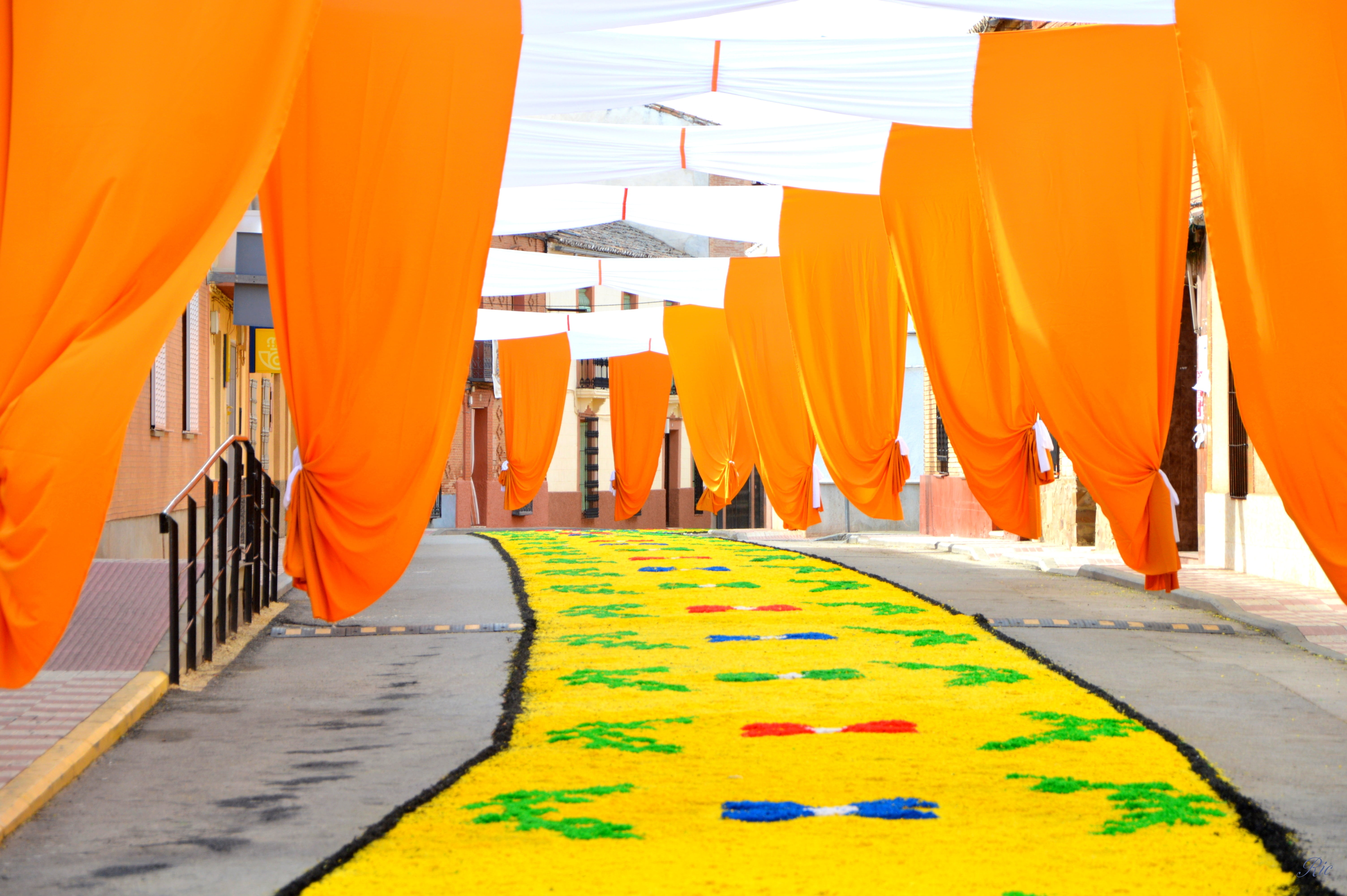 yellow, orange, procession, soil, no people, tent, hanging, multi colored, flooring, nature, day, building exterior, sunlight, flowers, footpath, outdoors, HD Wallpaper