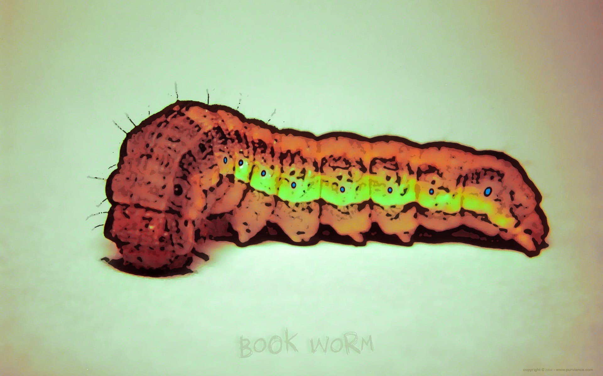 Caterpillar, 1080P, abstract, Bookworm, artwork, HD Wallpaper