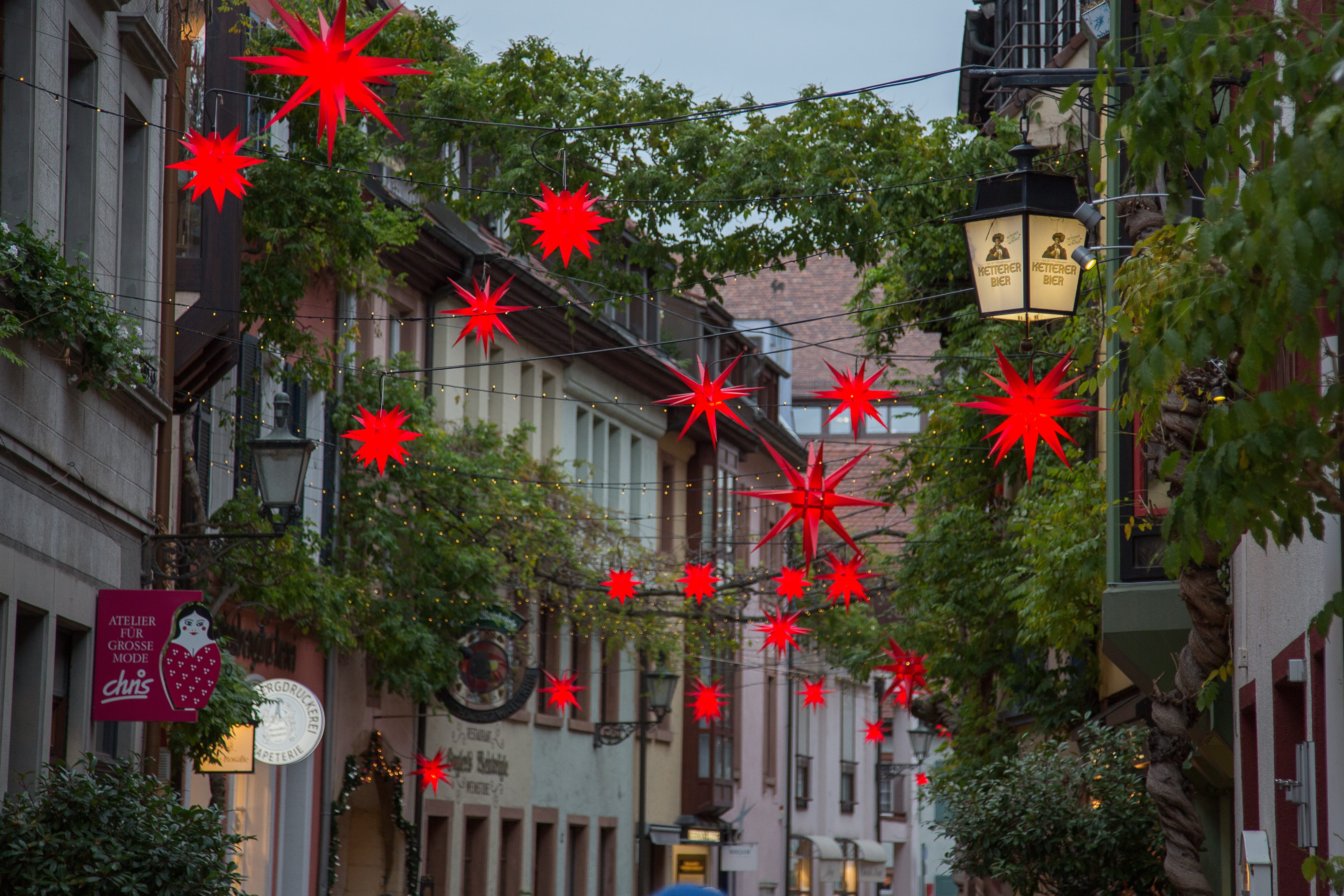 city, advent, red, plant, growth, flower, built structure, freiburg, architecture, residential district, poinsettia, flag, lighting equipment, 4K, street, HD Wallpaper