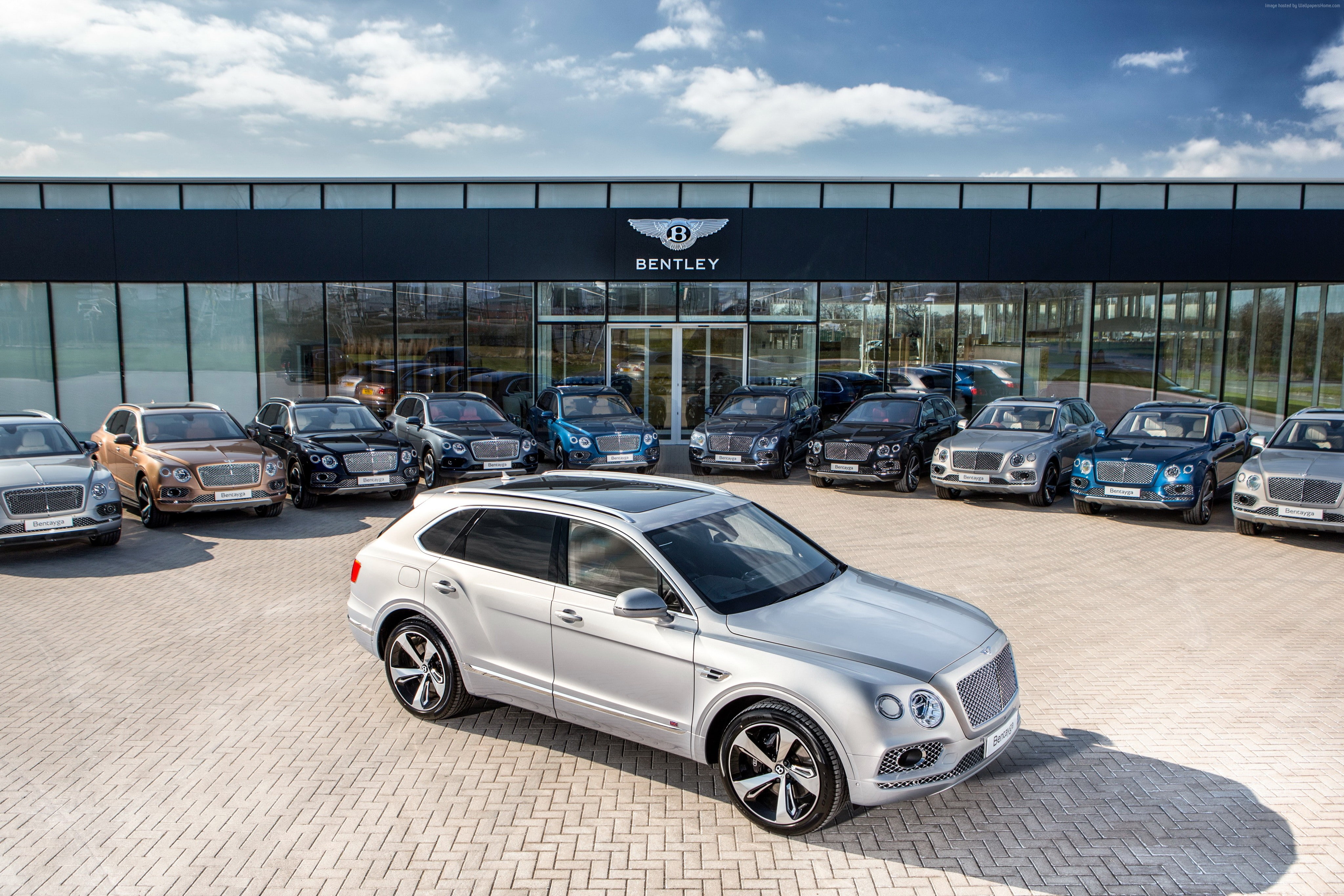 4K, Bentley Bentayga First Edition, luxury car, Geneva Auto Show 2016, HD Wallpaper
