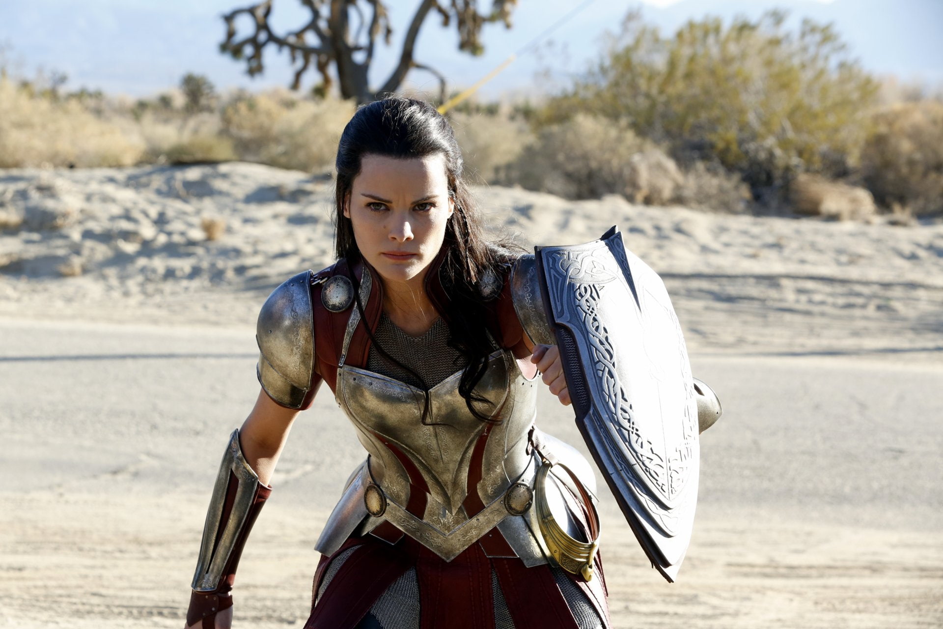 portrait, Marvels Agents of S.H.I.E.L.D., young women, beautiful woman, Sif (Thor), standing, front view, waist up, one person, nature, hairstyle, looking at camera, HD Wallpaper