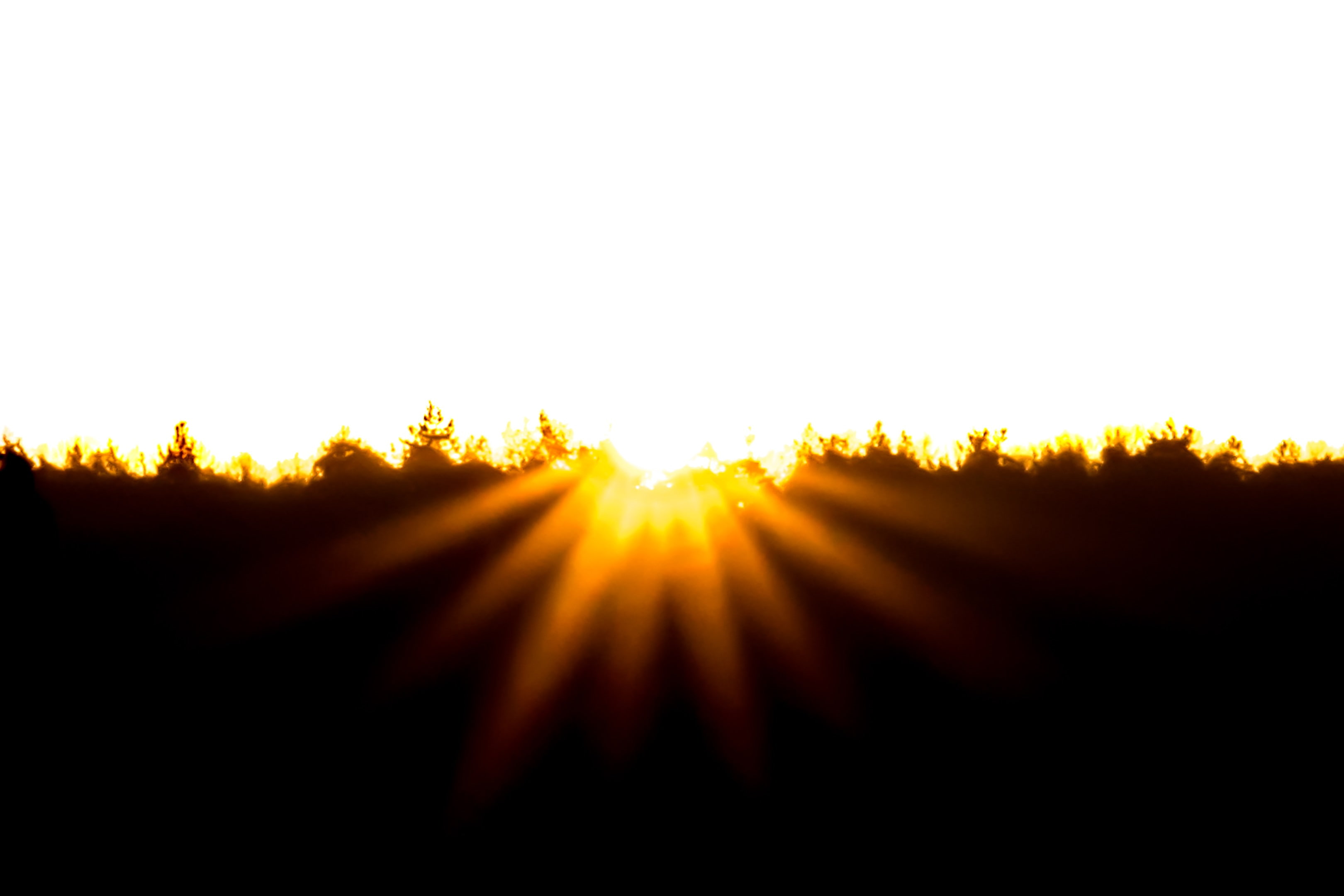 no people, tranquil scene, nature, sky, lens flare, silhouette, sun rays, plant, sunbeam, 2K, beauty in nature, landscape, bright, sun, tranquility, back lit, HD Wallpaper