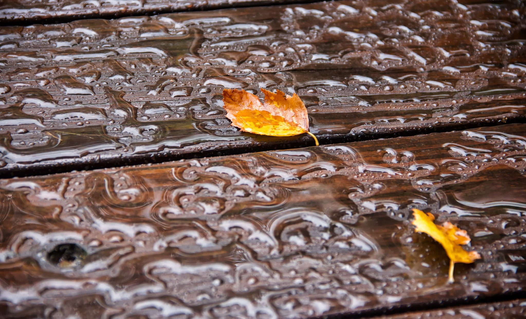 rain, wet, pattern, full frame, rainy season, motion, fall, 1080P, selective focus, outdoors, nature, close-up, wood - material, high angle view, rippled, HD Wallpaper