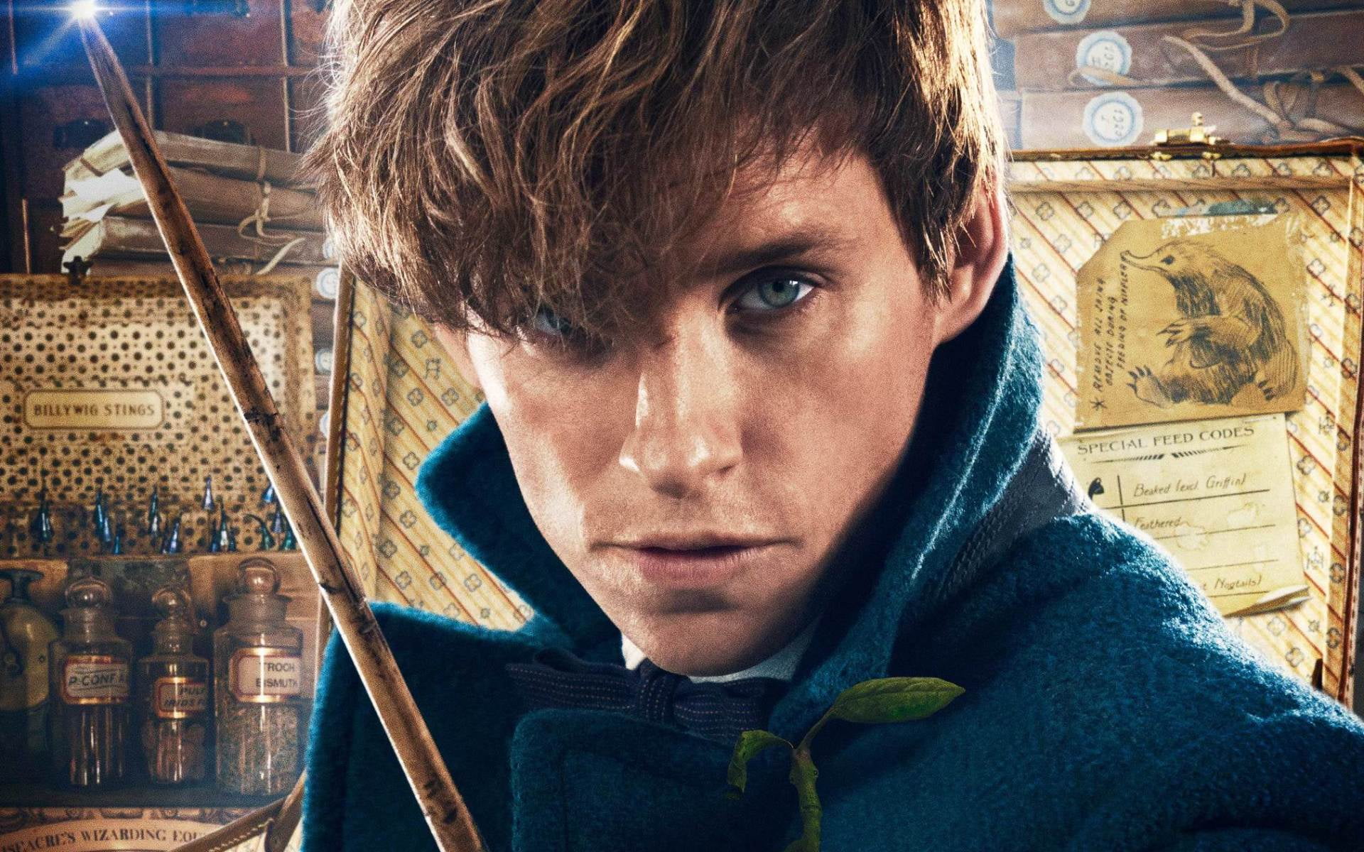 hood - clothing, young adult, hollywood, one person, Hollywood Movies, finance, close-up, looking at camera, Movies, newt, 1080P, body part, portrait, HD Wallpaper